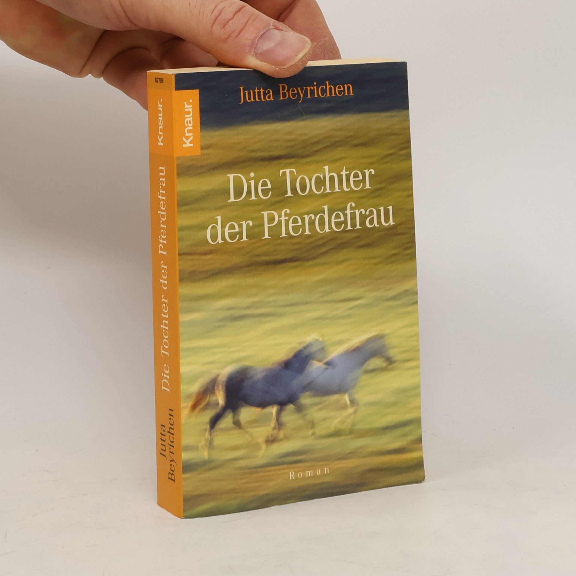 Jutta Beyrichen Die Tochter der Pferdefrau