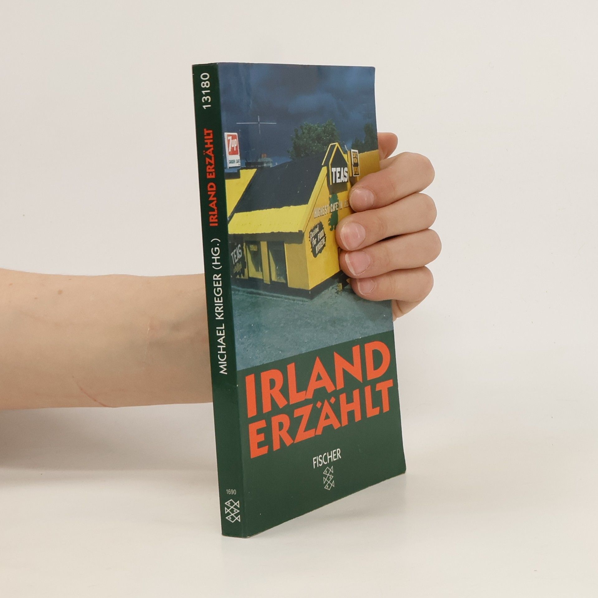 Michael Krieger Irland erzählt