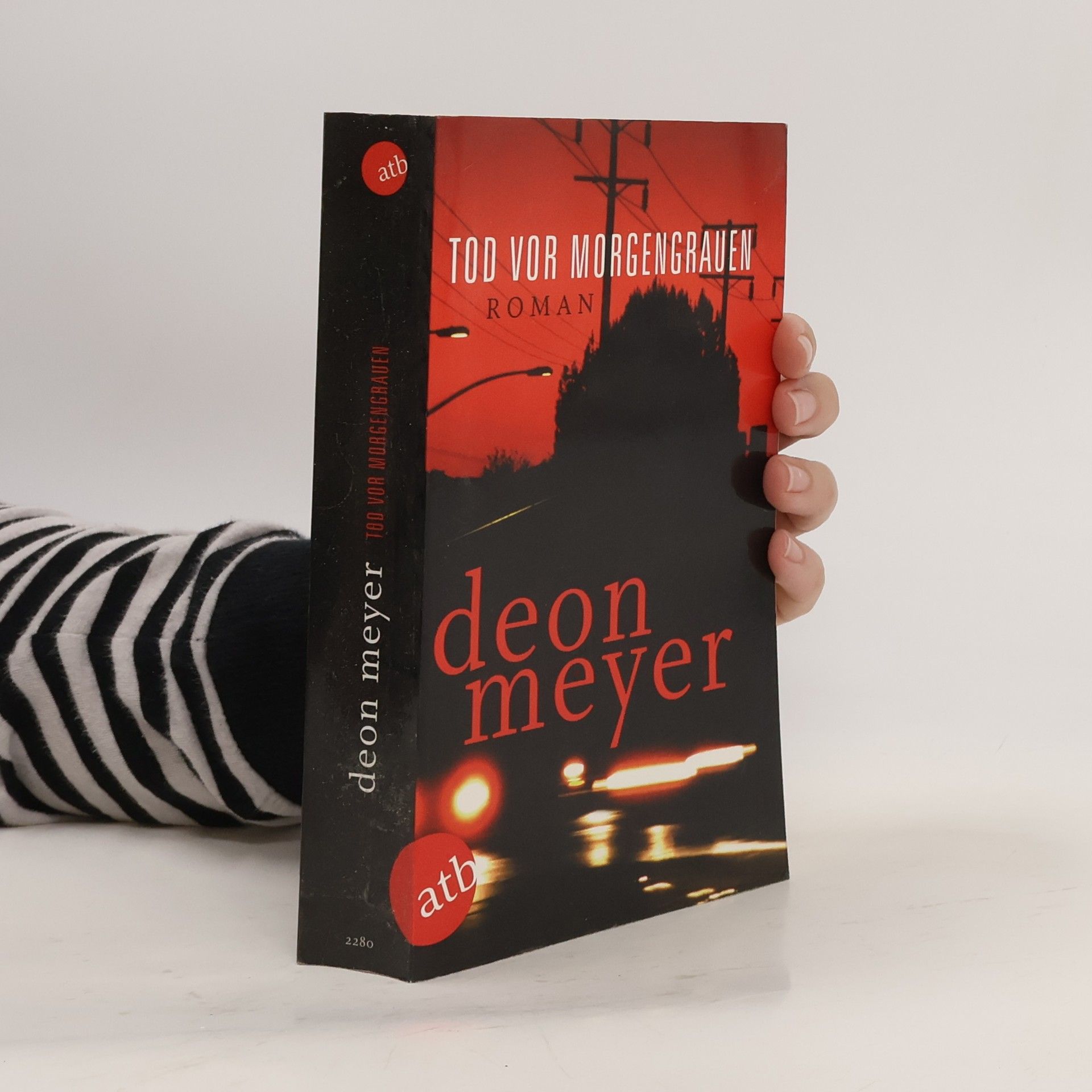 Deon Meyer Tod vor Morgengrauen