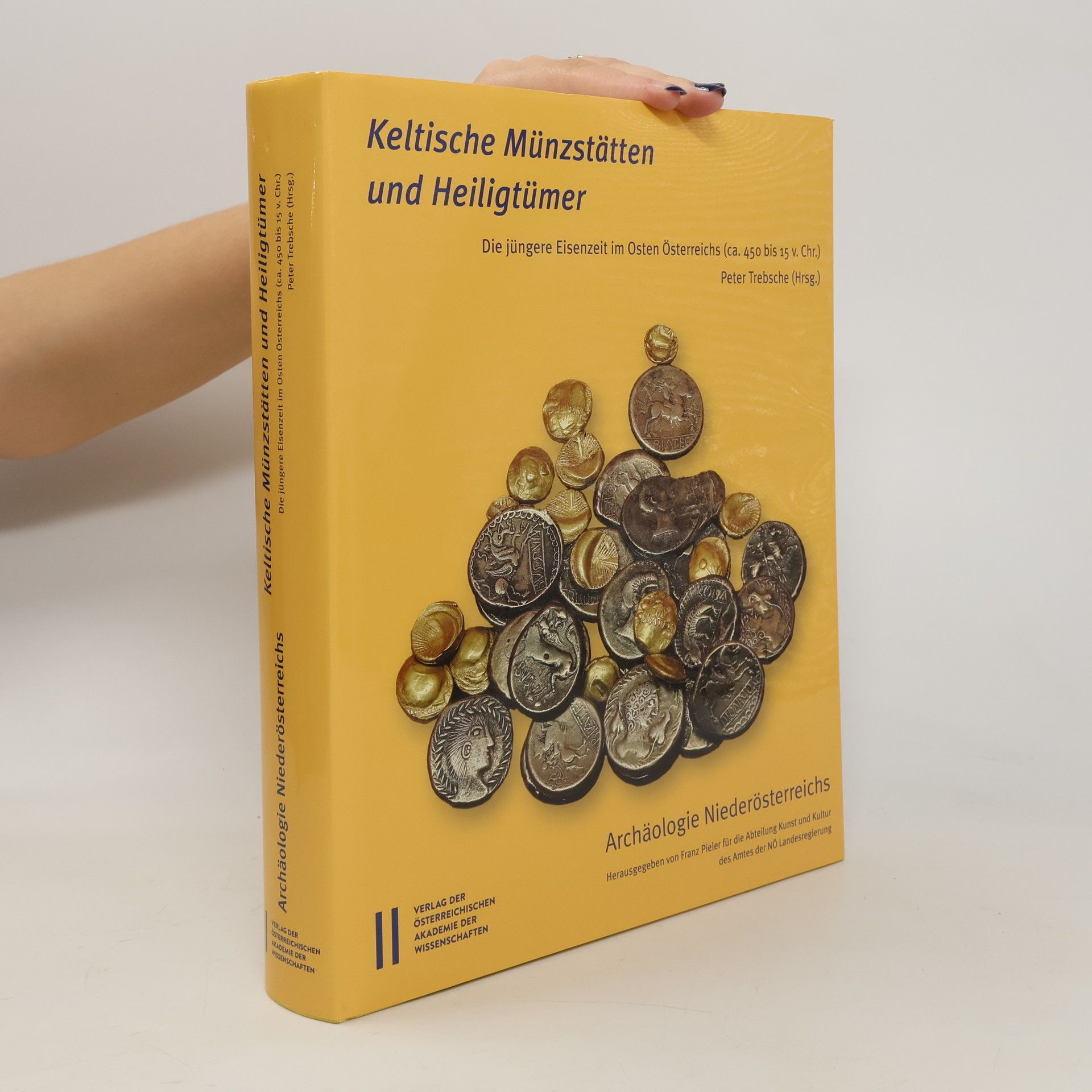 Peter Trebsche Keltische Münzstätten und Heiligtümer