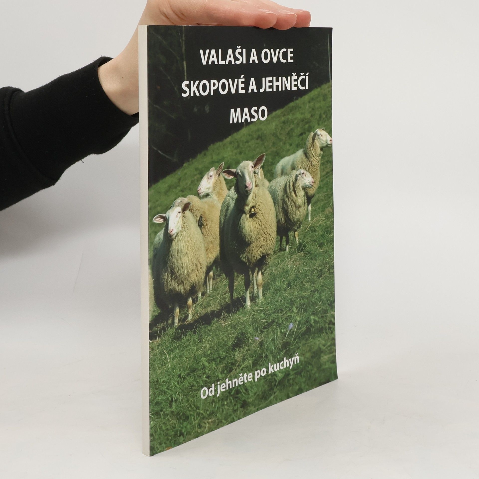 Collectif d'auteurs Valaši a ovce, skopové a jehněčí maso. Od jehněte po kuchyň