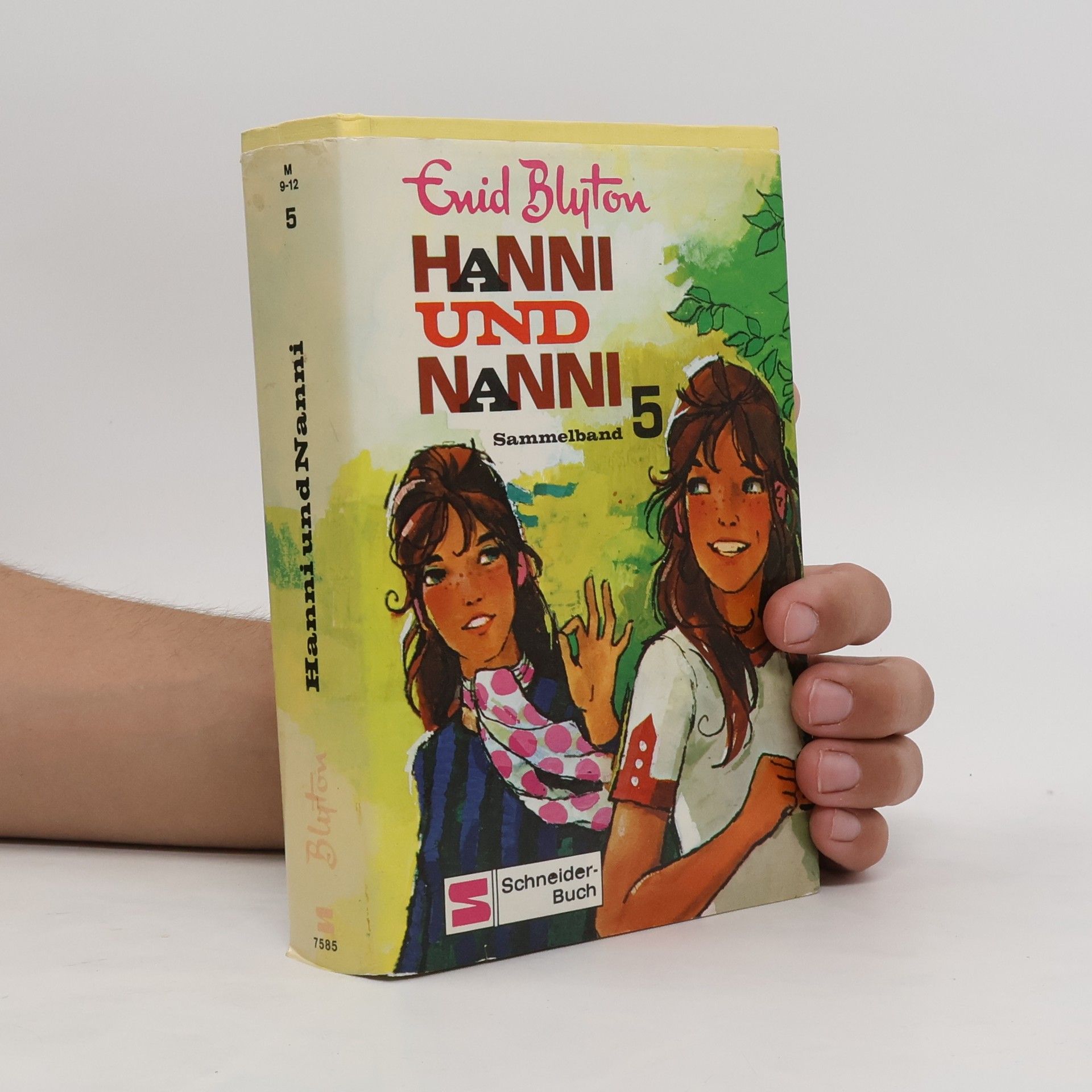 Enid Blyton Hanni und Nanni 5
