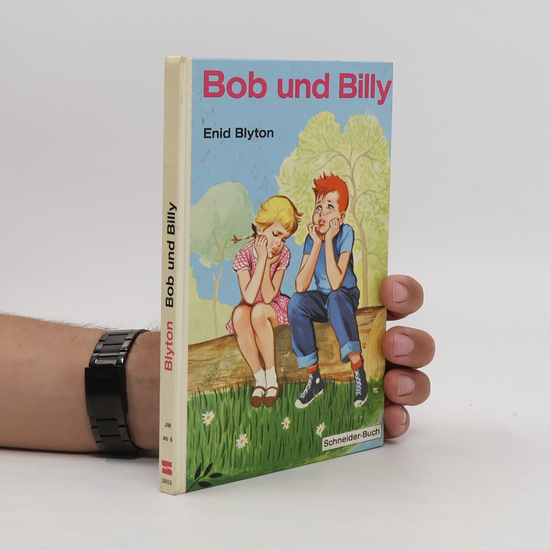 Enid Blyton Bob und Billy