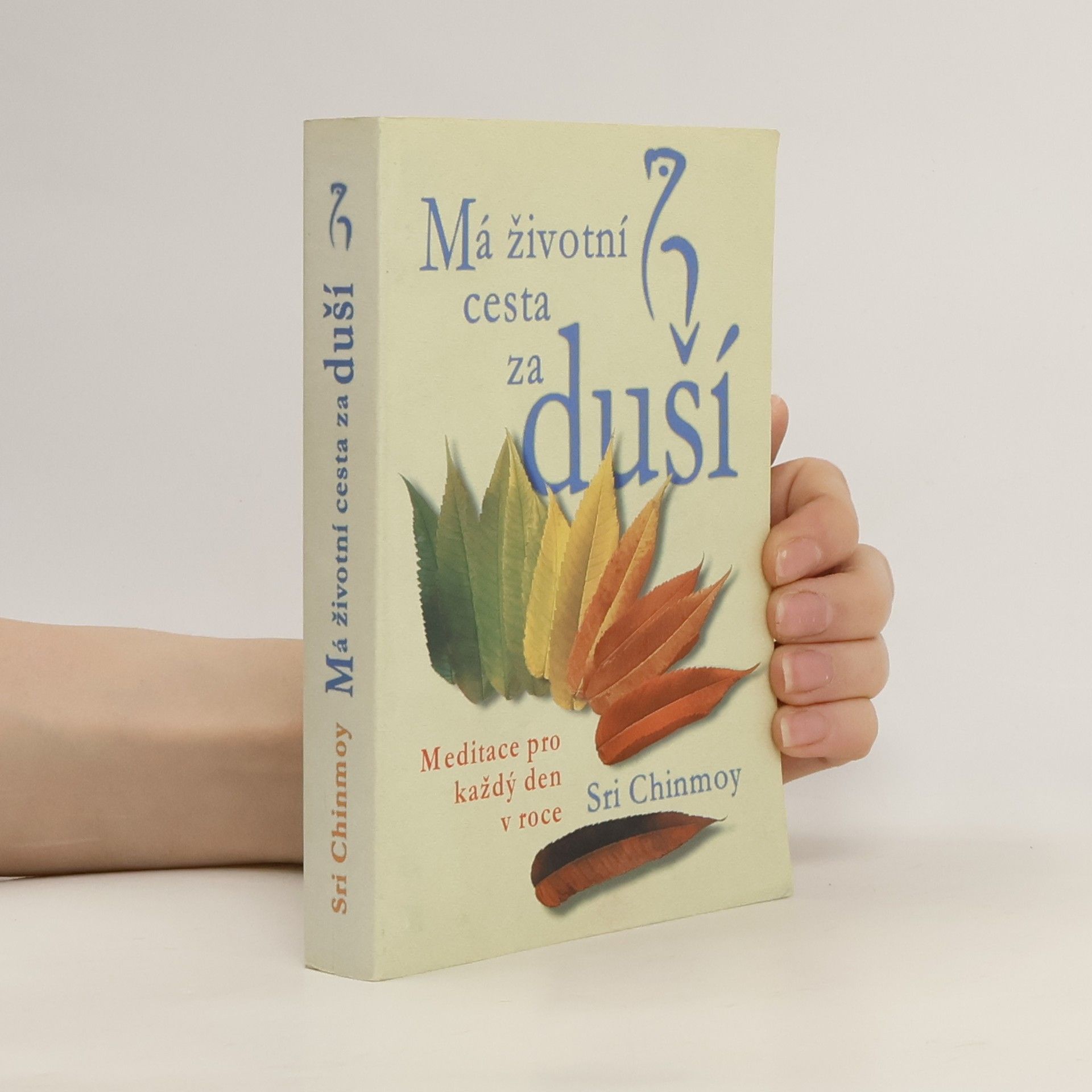 Šrí Činmoj Má životní cesta za duší
