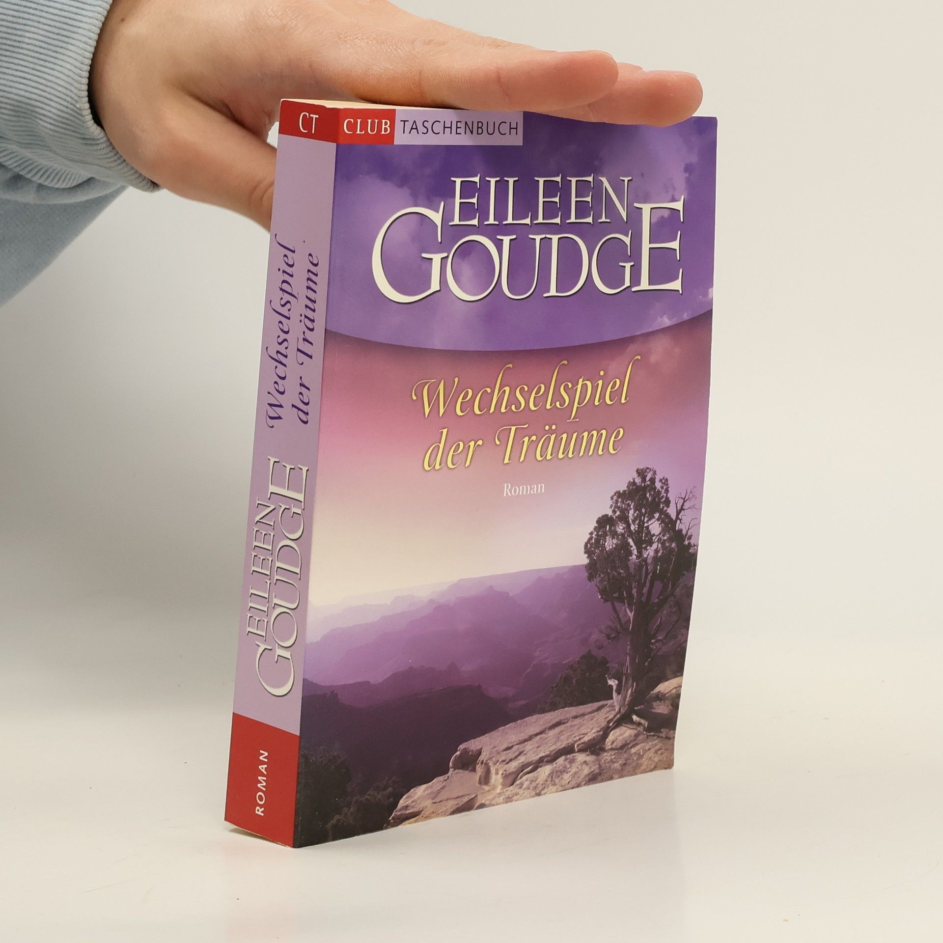 Eileen Goudge Wechselspiel der Träume