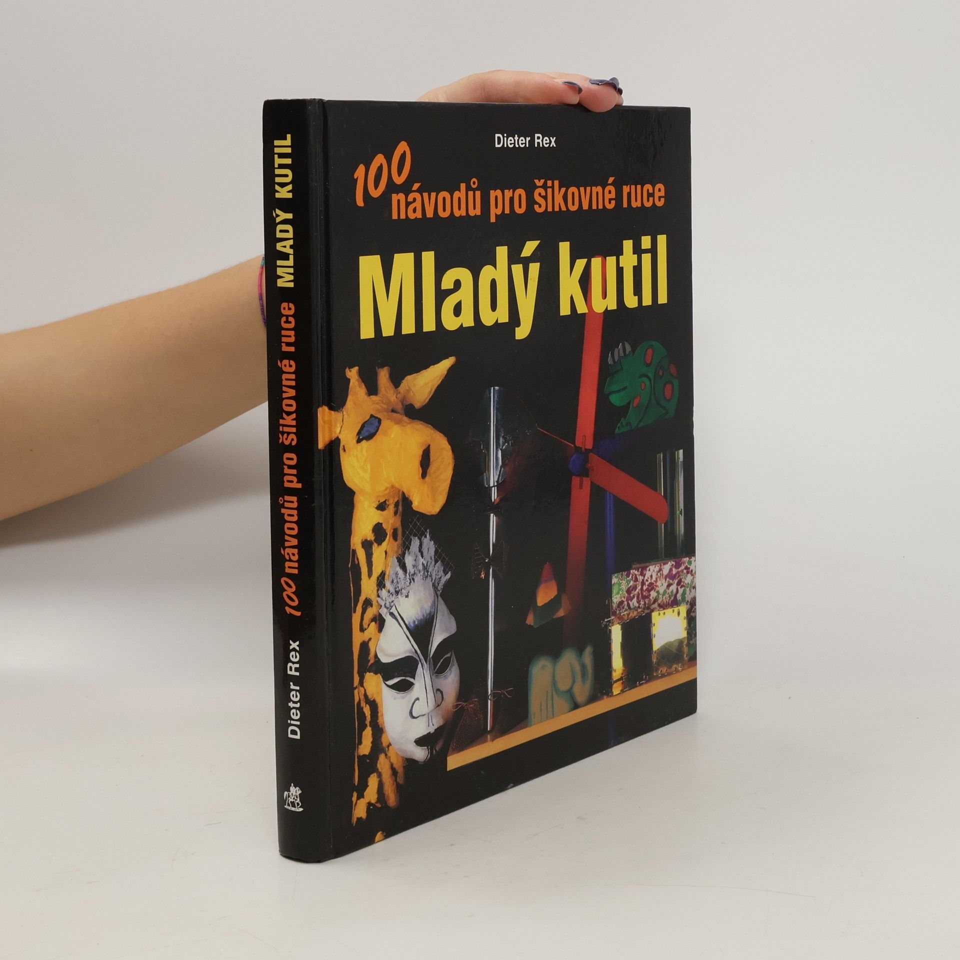Dieter Rex Mladý kutil. 100 návodů pro šikovné ruce