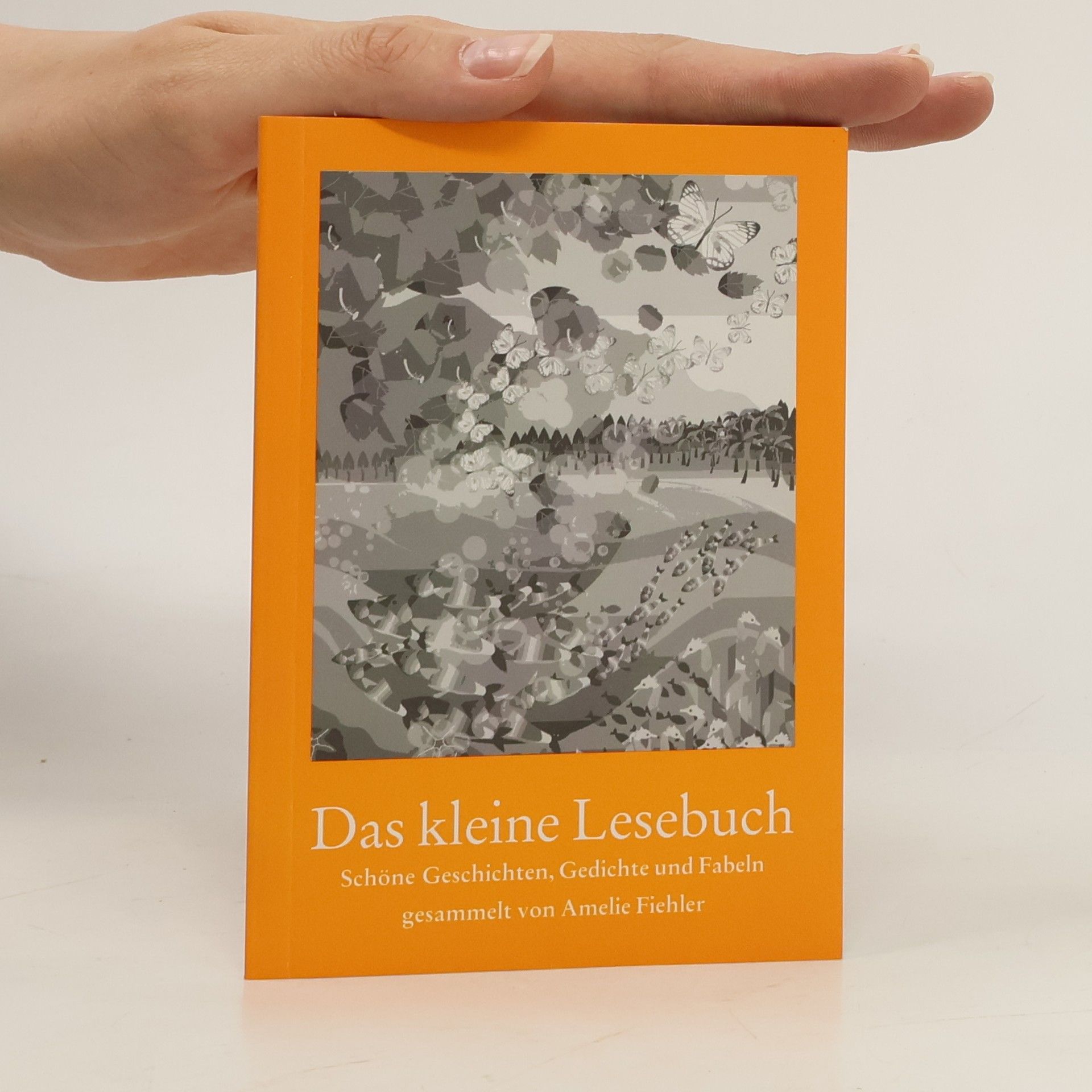 Amelie Fiehler Das kleine Lesebuch