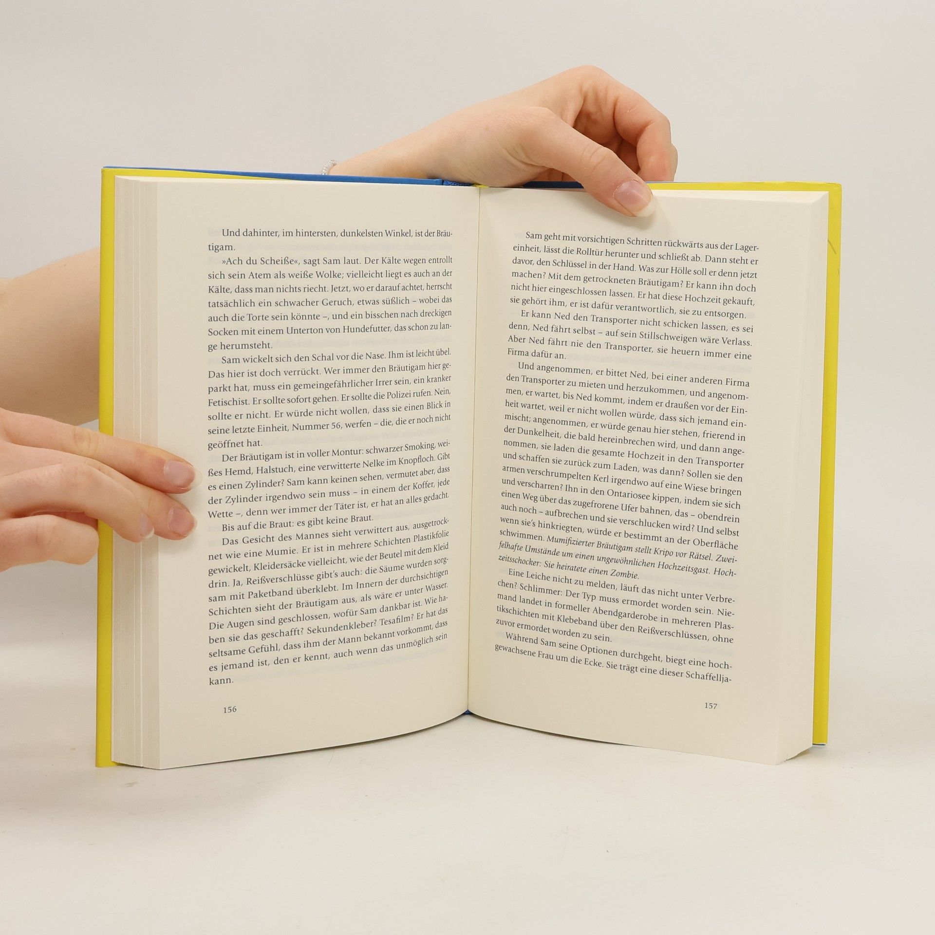 Margaret Atwood Die steinerne Matratze