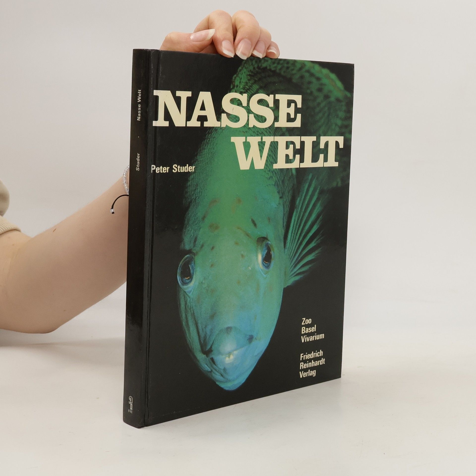 Peter Studer Nasse Welt