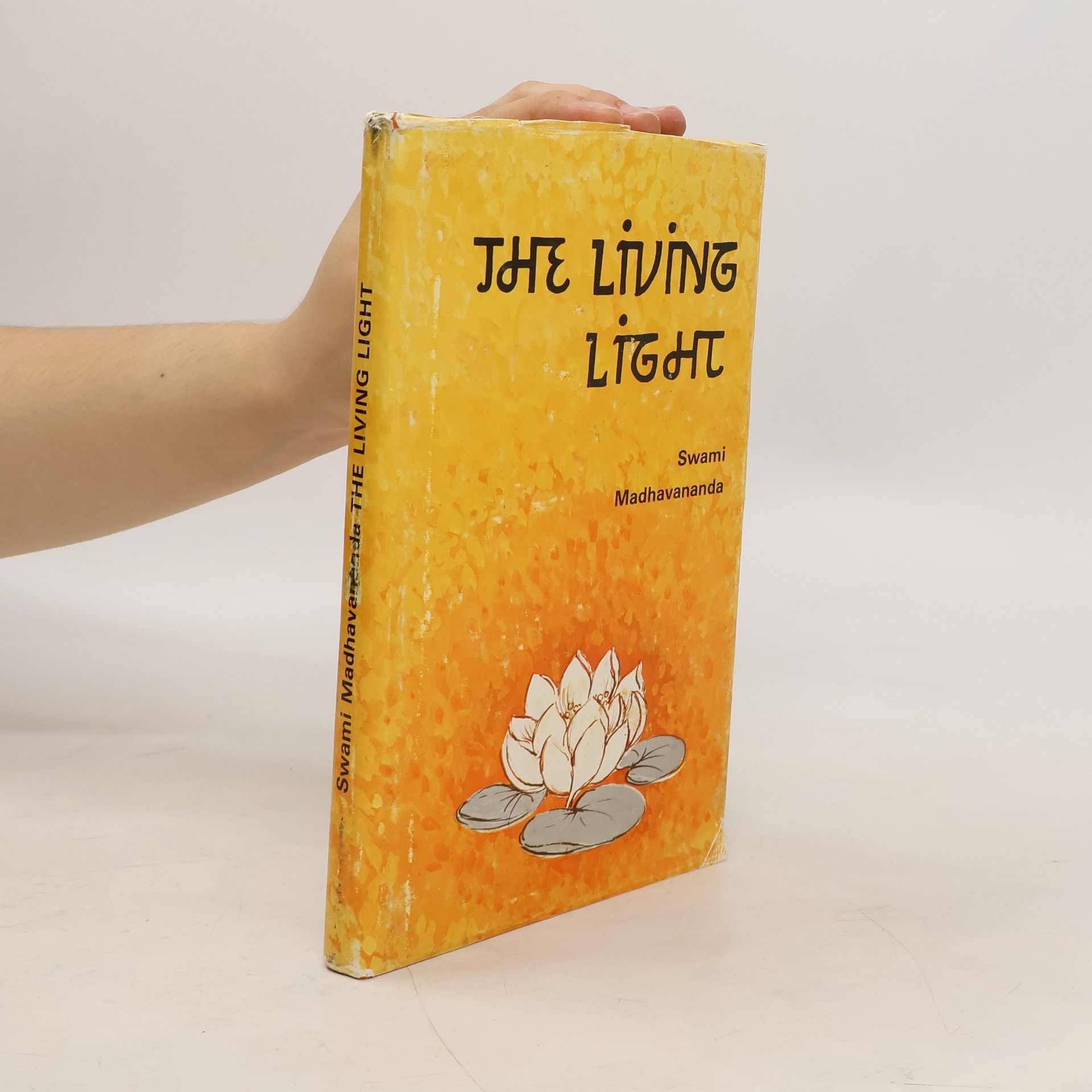 Paramhans Swami Maheshwarananda The Living Light