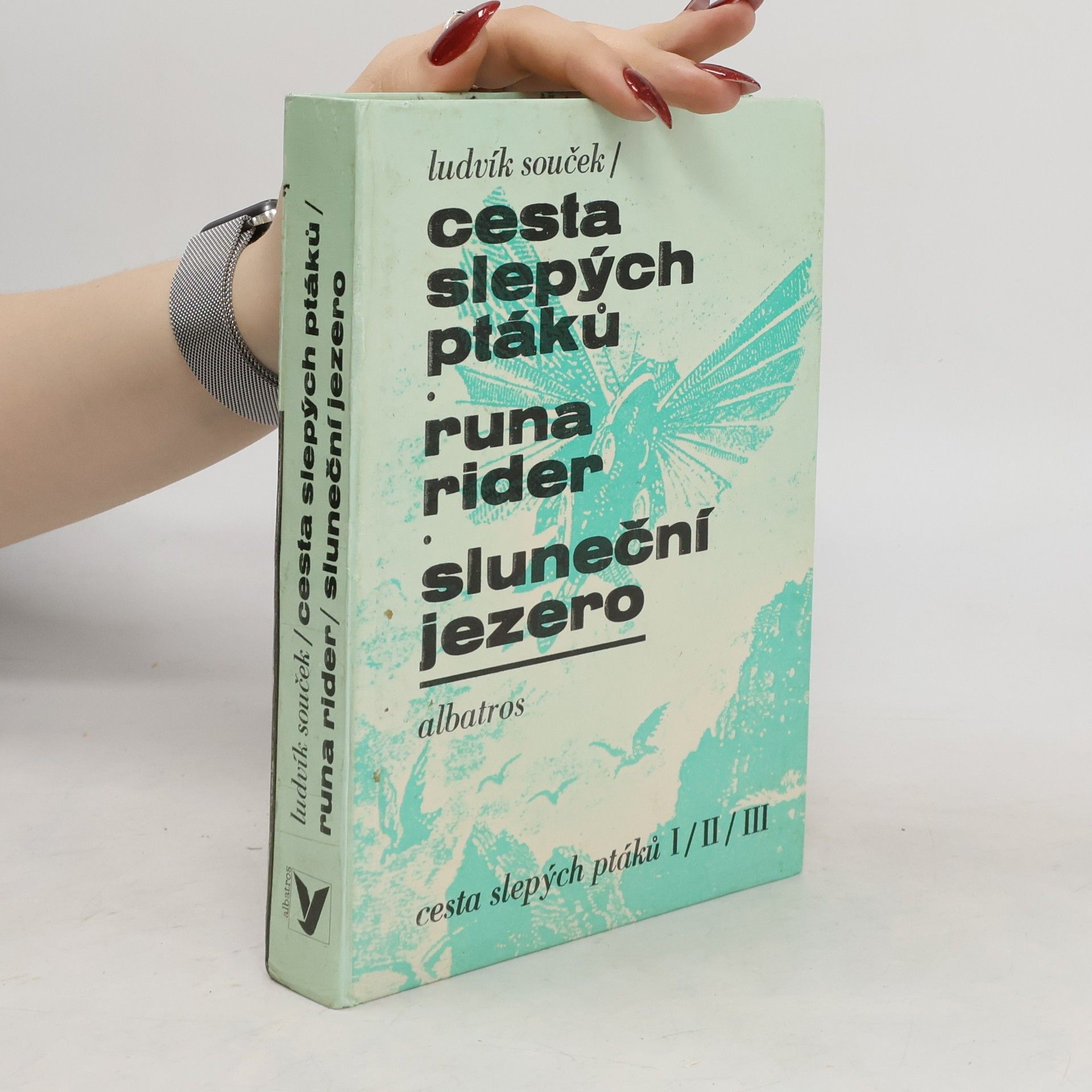 Ludvík Souček Cesta slepých ptáků I-III