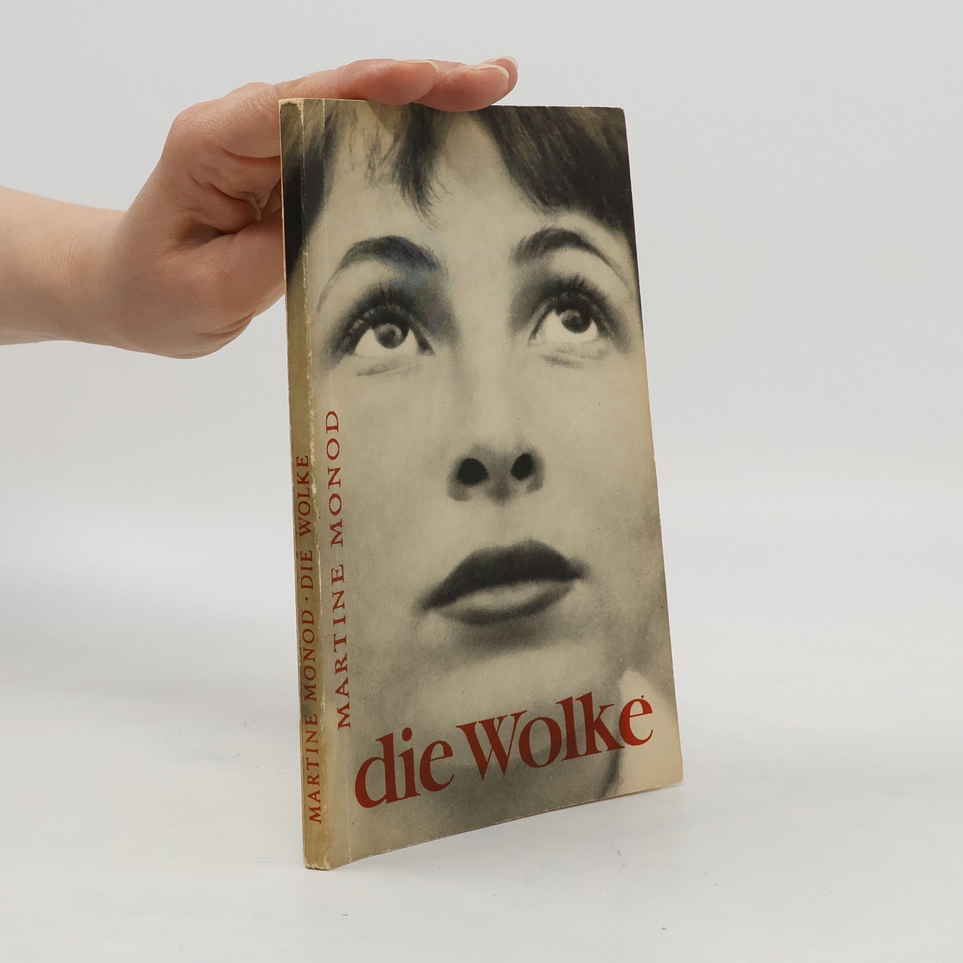 Martine Monod Die Wolke