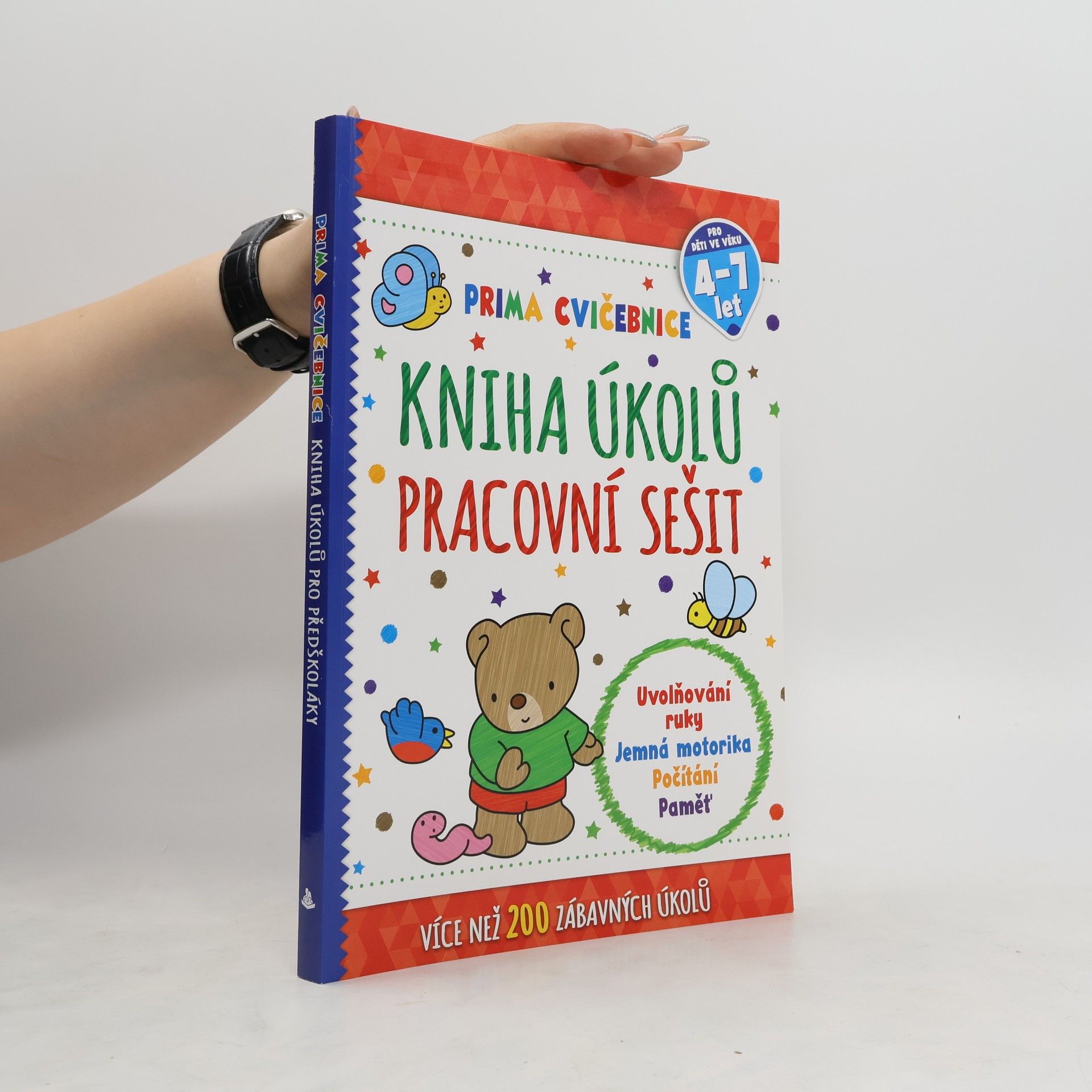 Autorenkollektiv Kniha úkolů Pracovní sešit