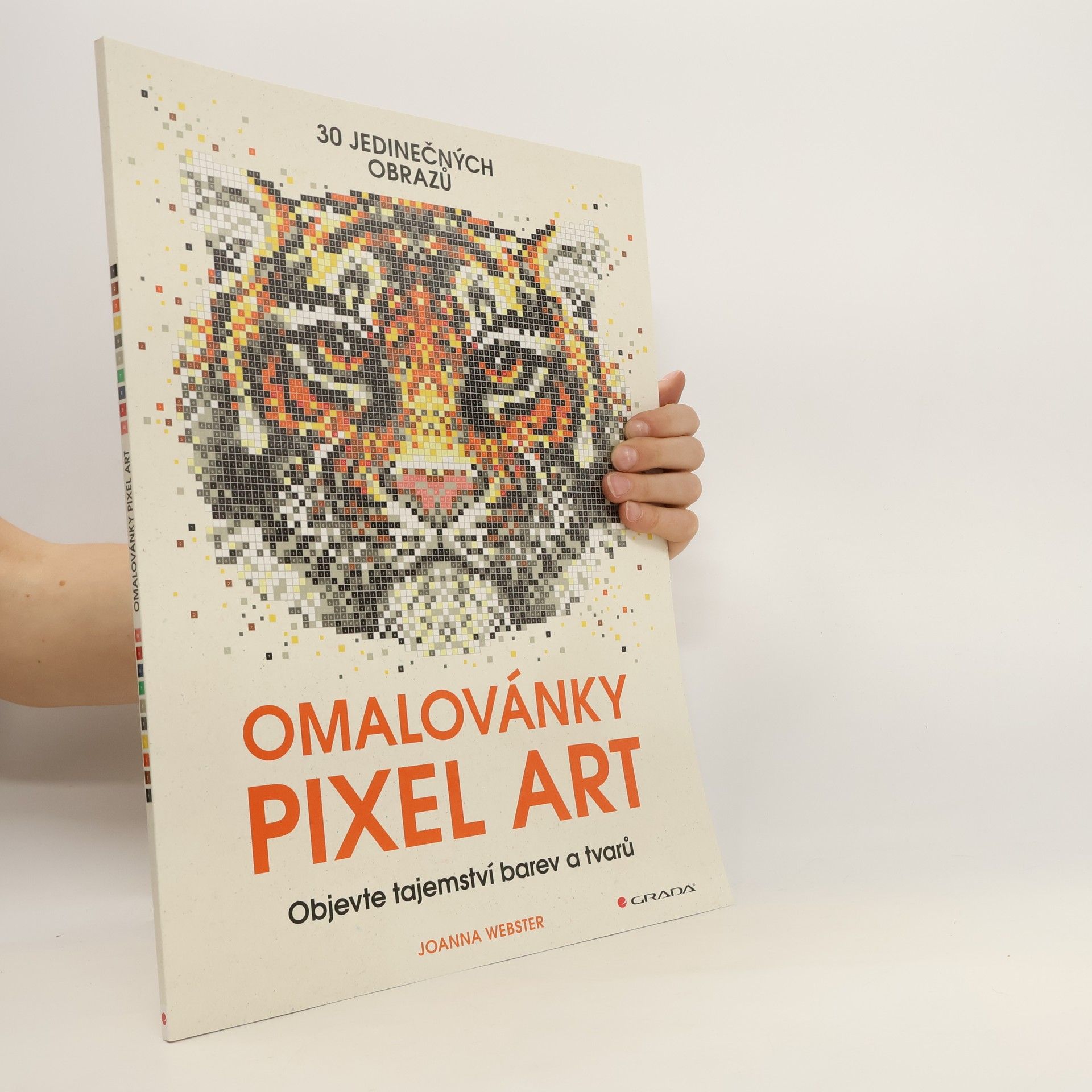 Joanna Webster Omalovánky Pixel Art