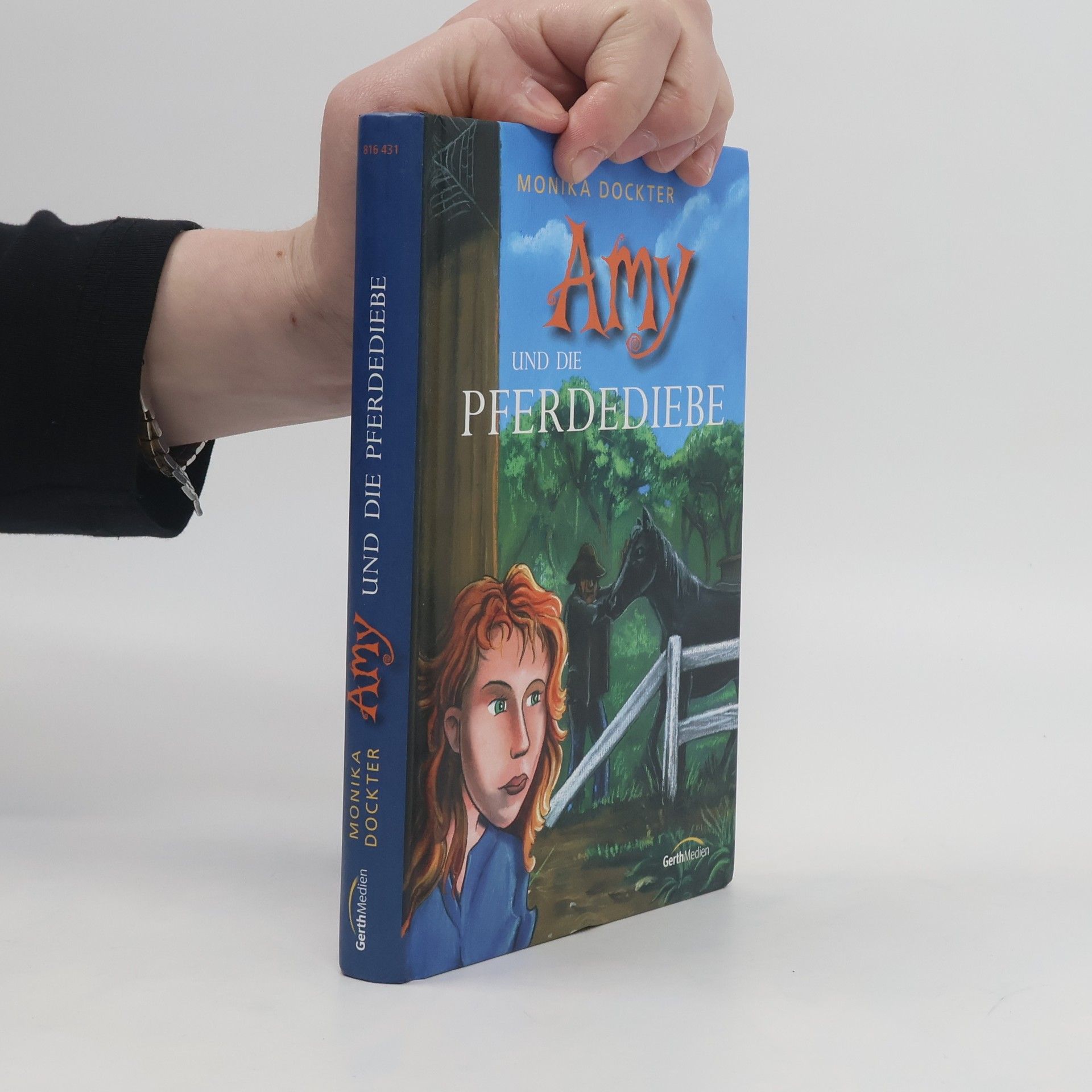 Monika Dockter Amy und die Pferdediebe