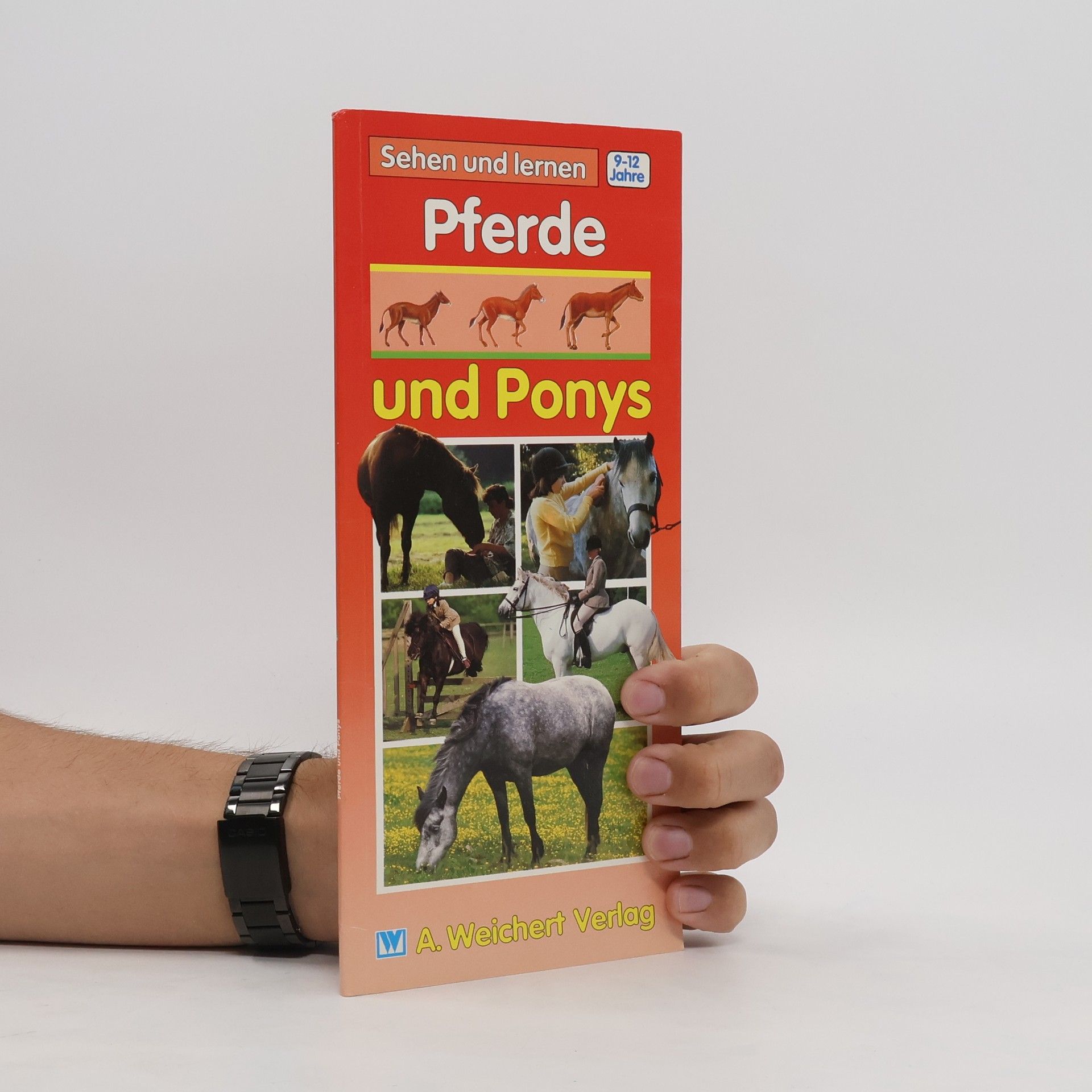 Peter R. Winkelaar Pferde und Ponys