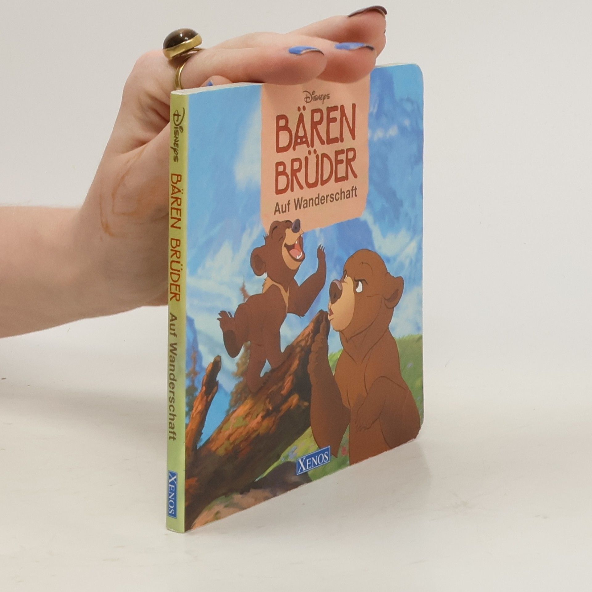 Collectif d'auteurs Disneys Bären Brüder