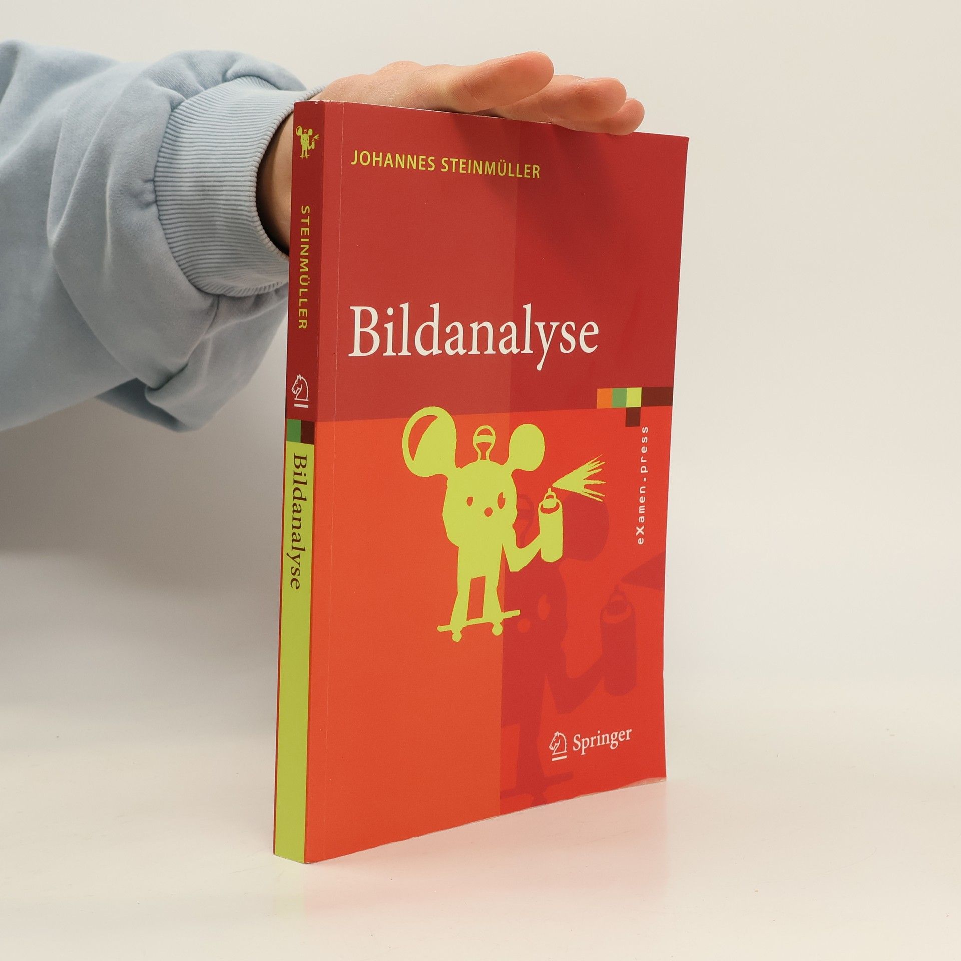 Johannes Steinmüller Bildanalyse