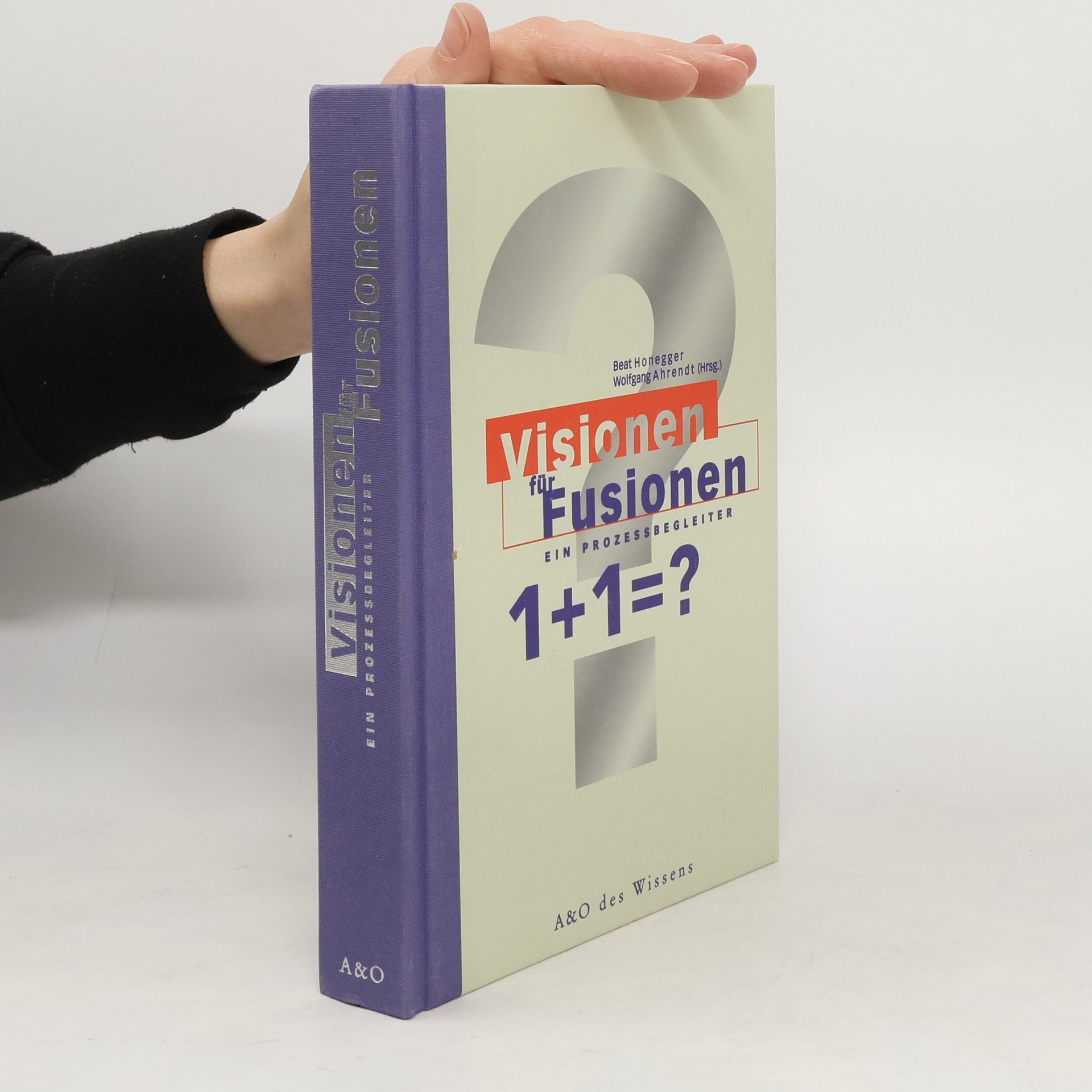 Beat Honegger Visionen für Fusionen