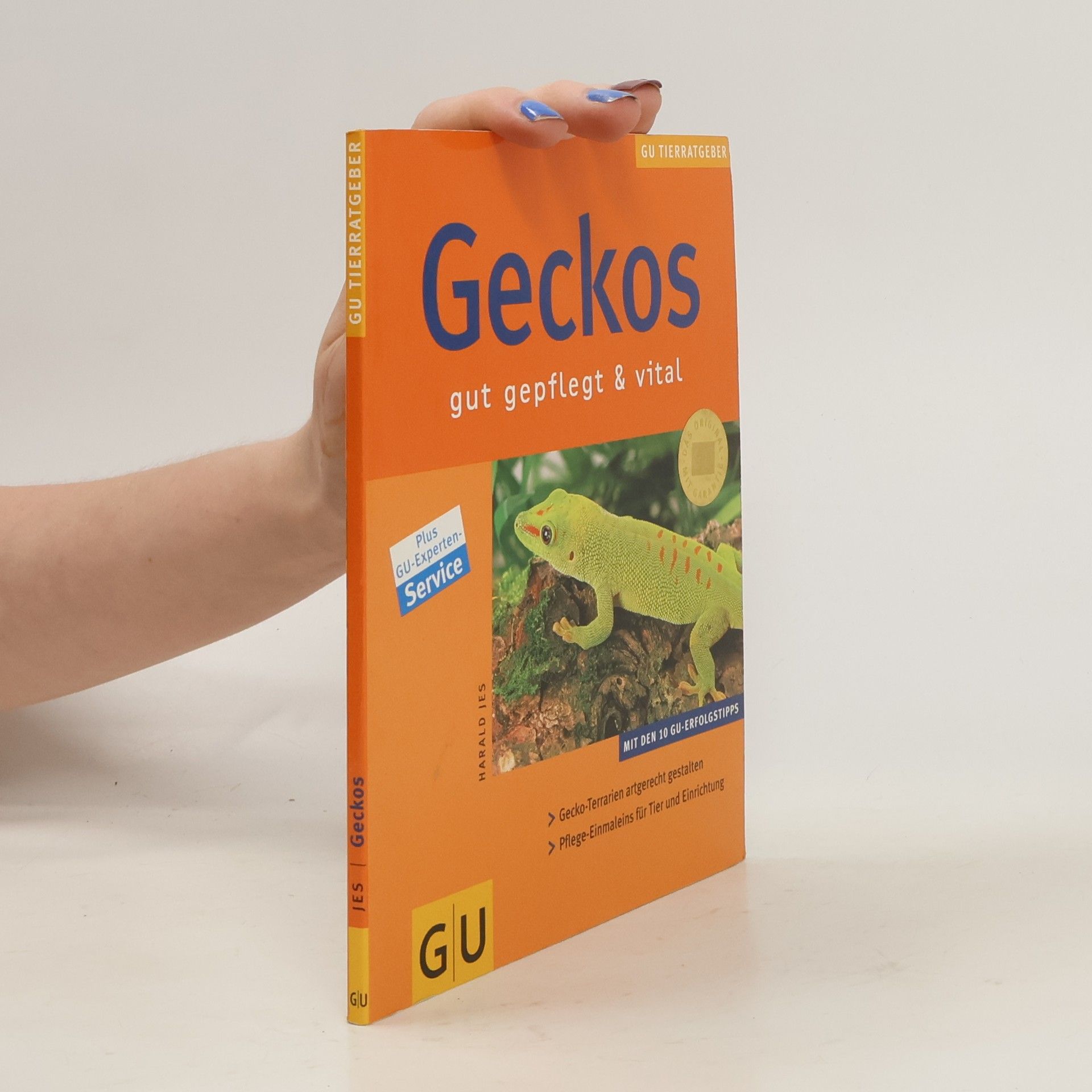 Herald Jes Geckos