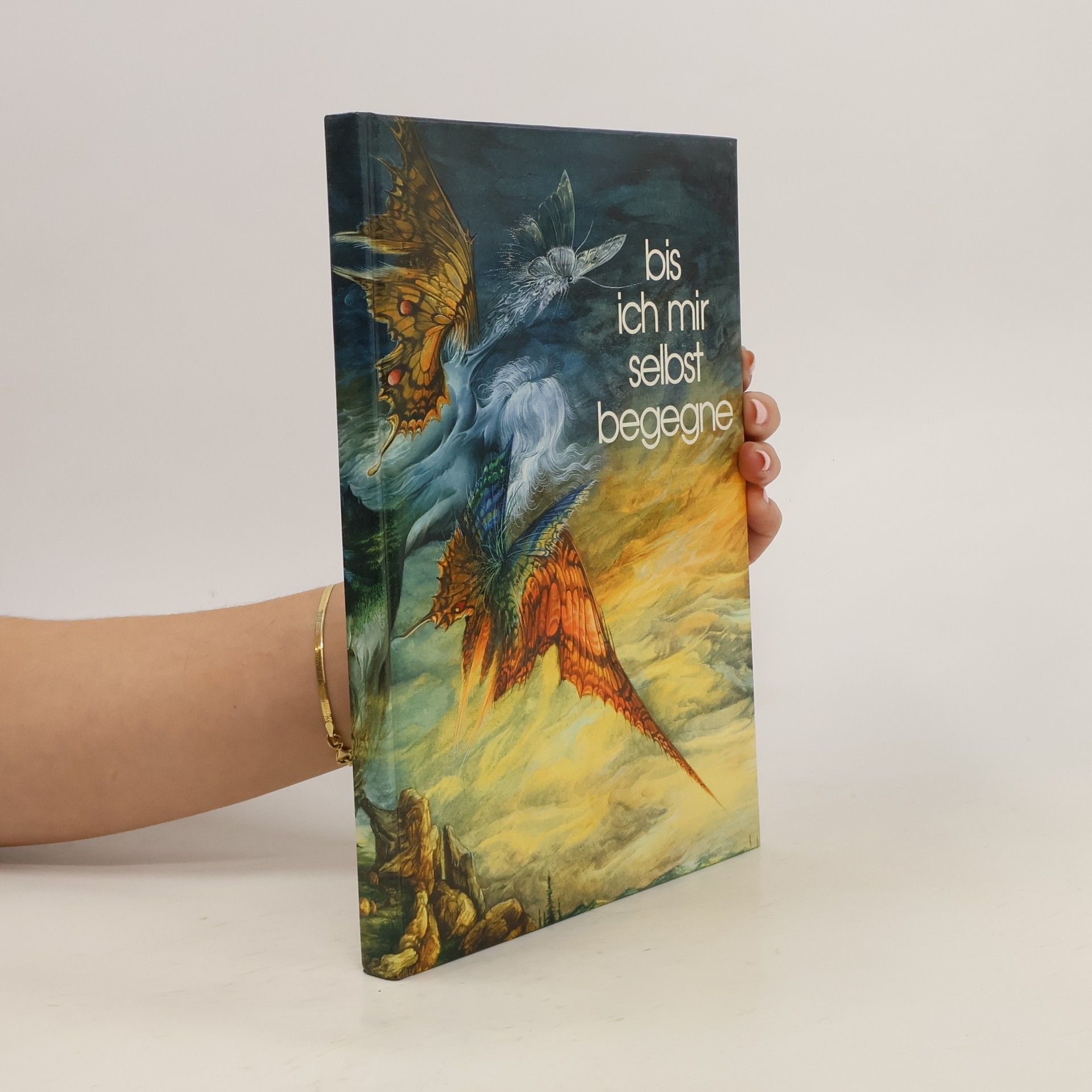 Collectif d'auteurs Bis ich mir selbst begegne