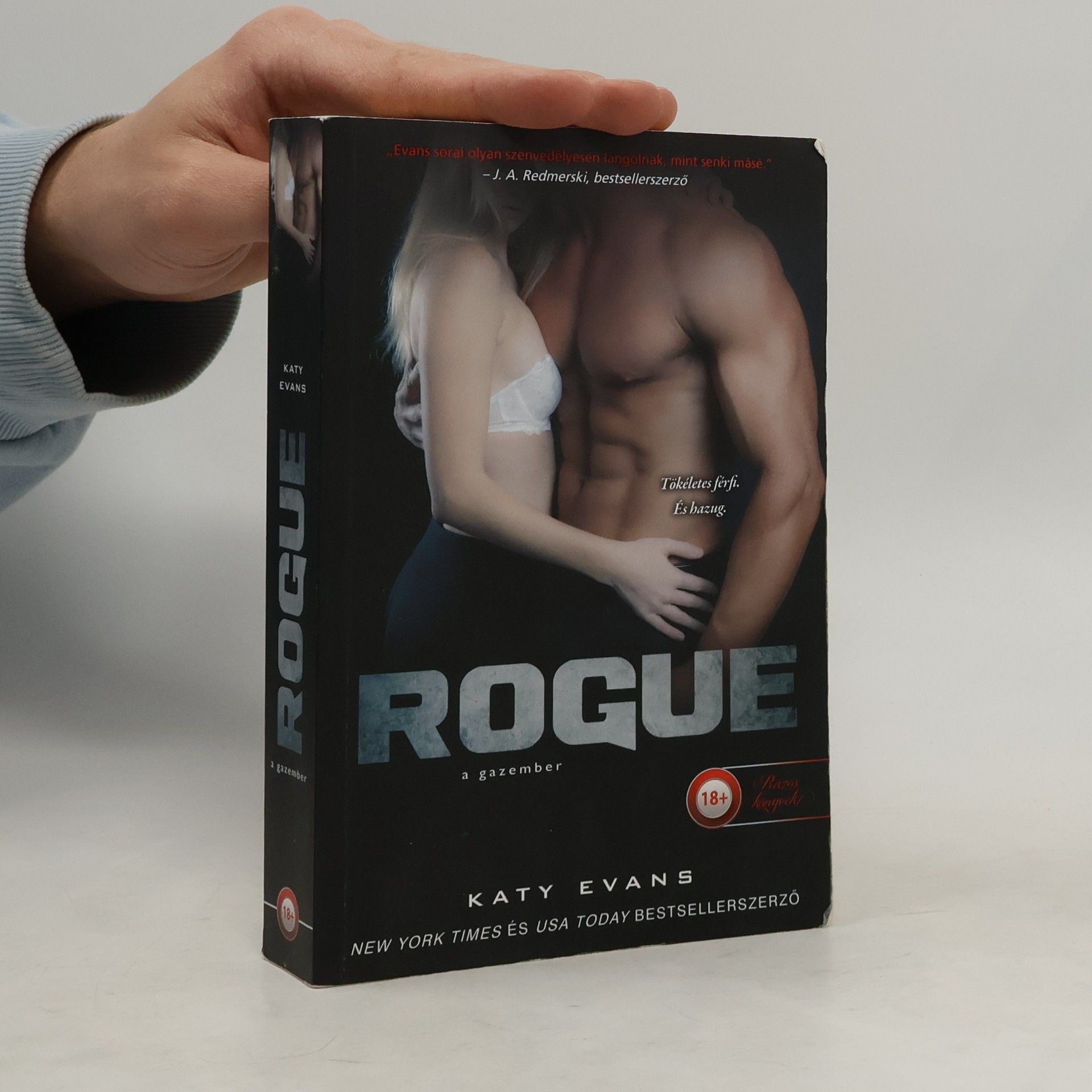 Katy Evans Rogue