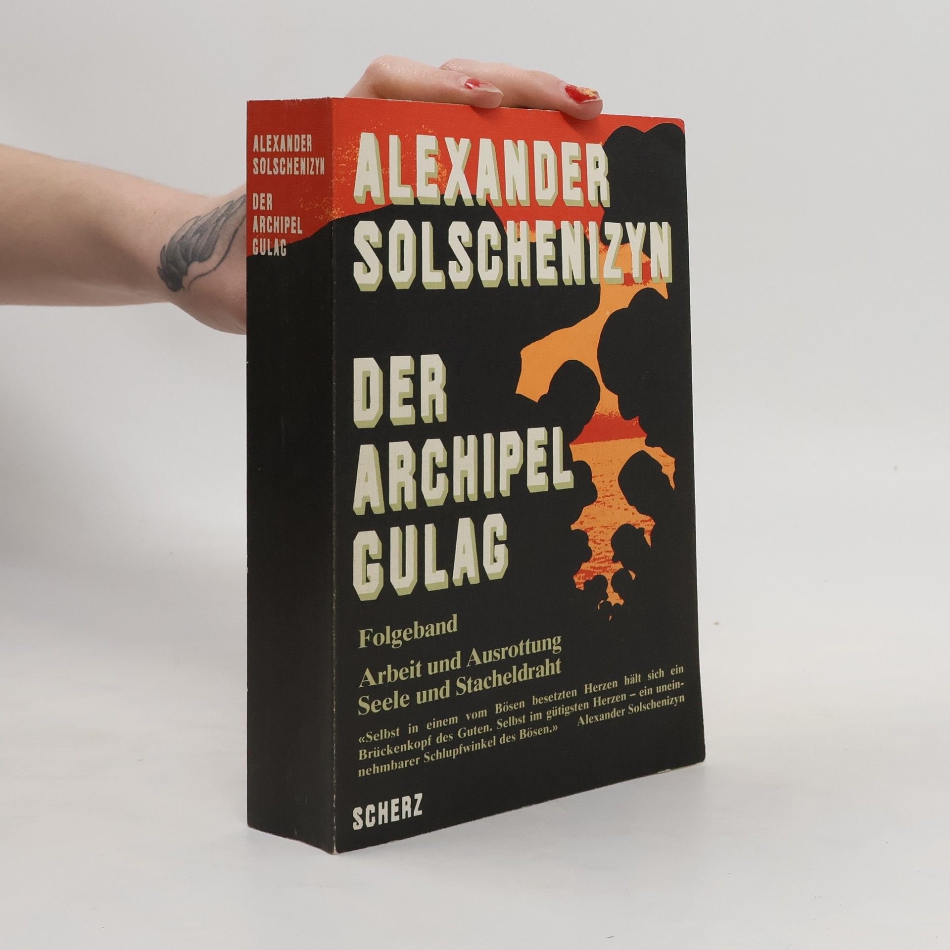 Alexandr Isajevič Solženicyn Der Archipel Gulag. Folgeband