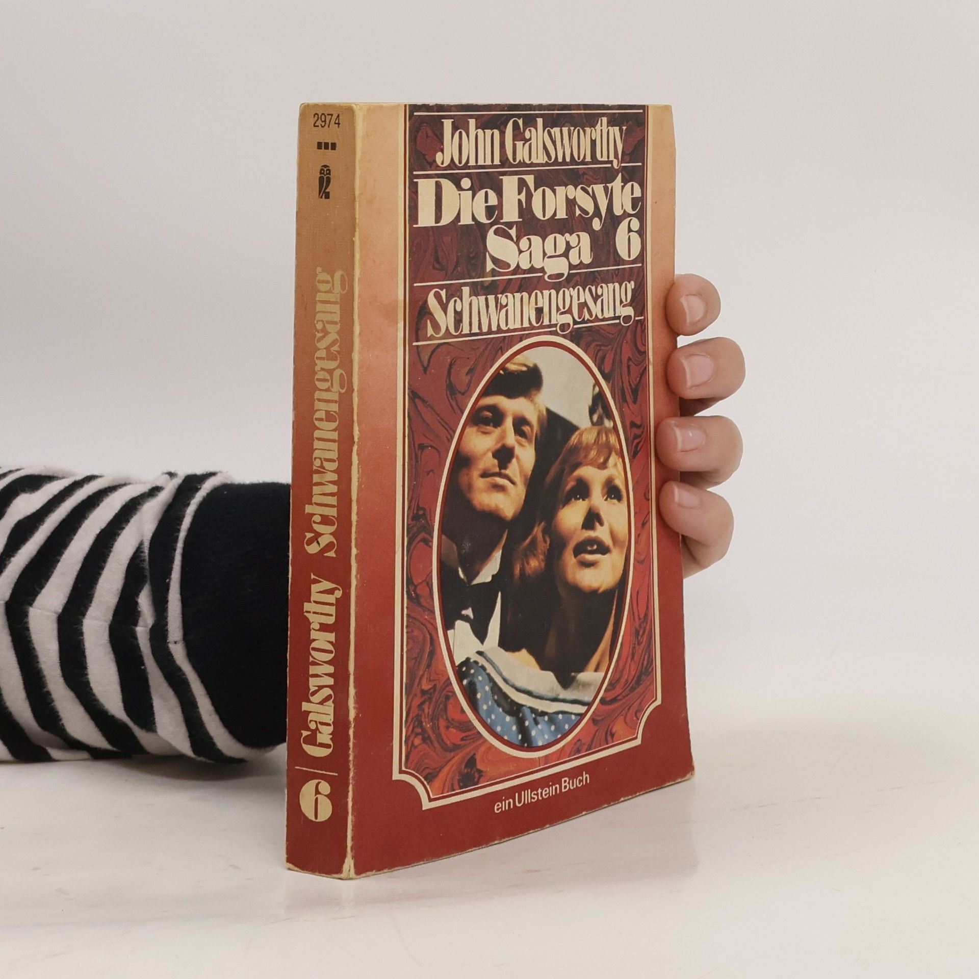 John Galsworthy Die Forsyte Saga 6