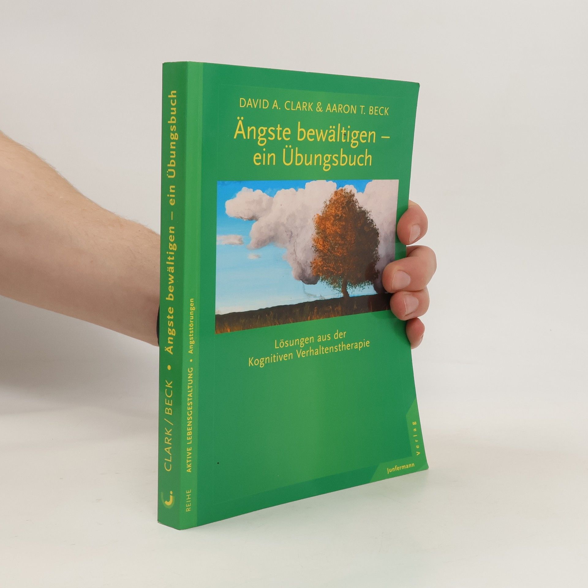 David A. Clark Ängste bewältigen - ein Übungsbuch