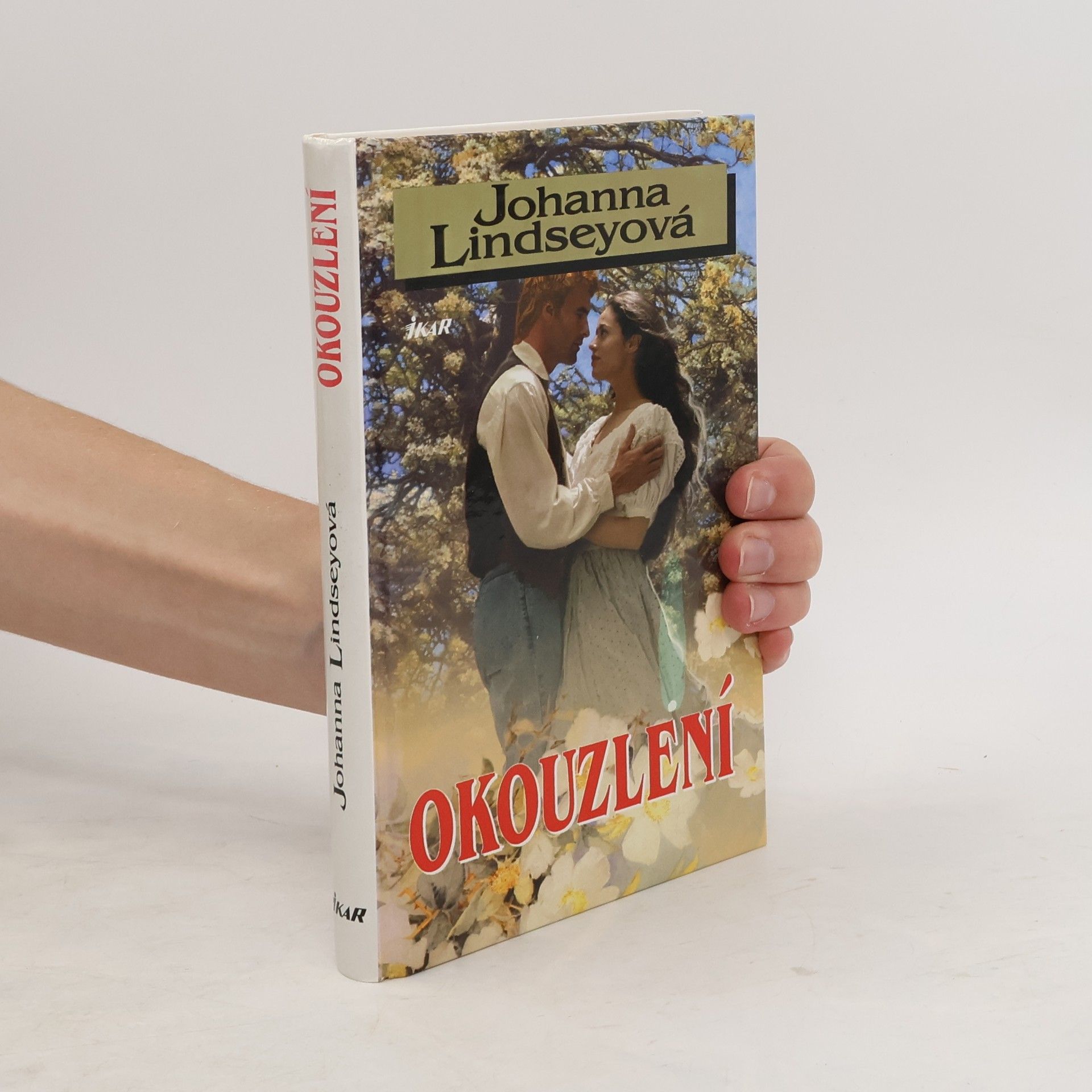 Johana Lindseyová Okouzlení