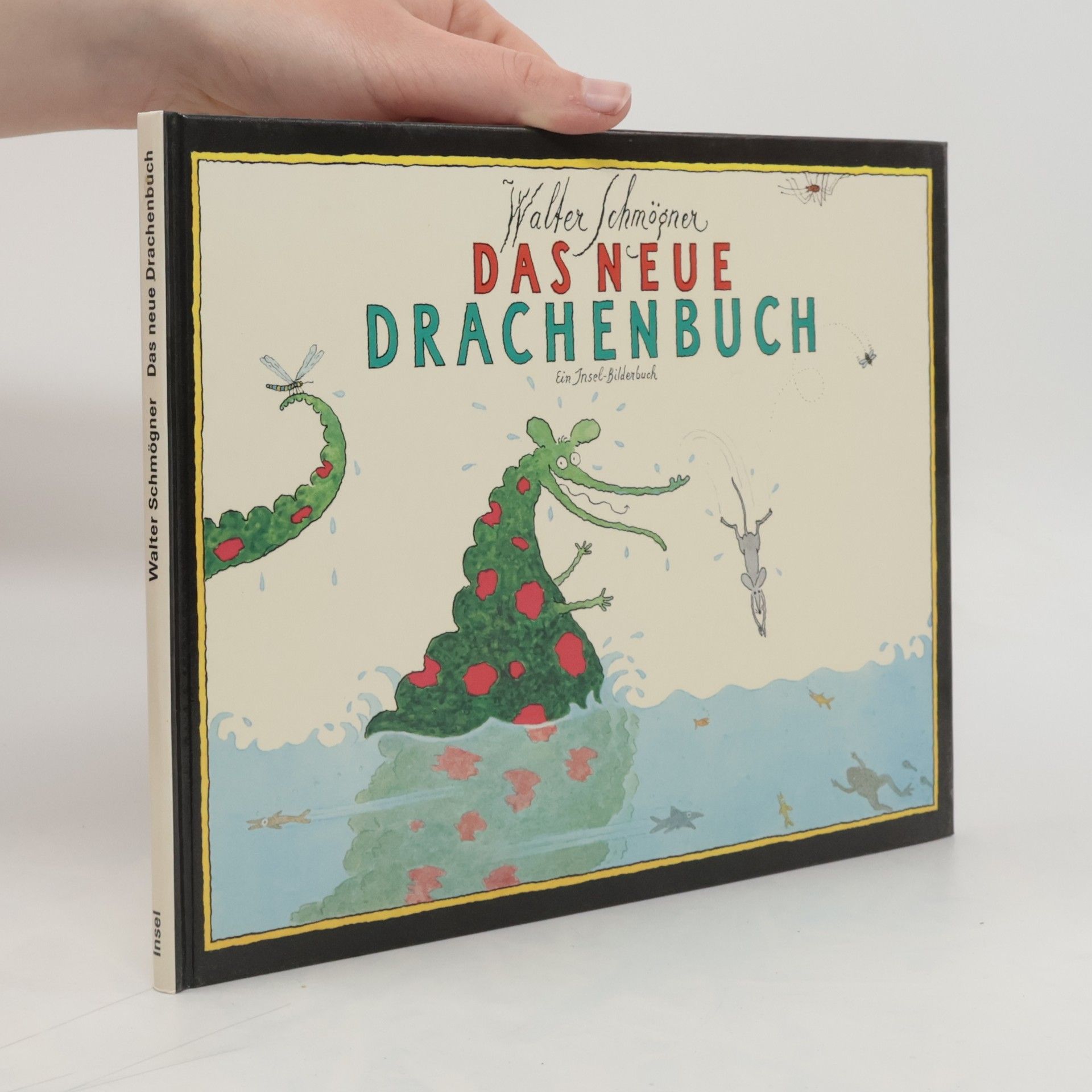 Walter Schmögner Das neue Drachenbuch