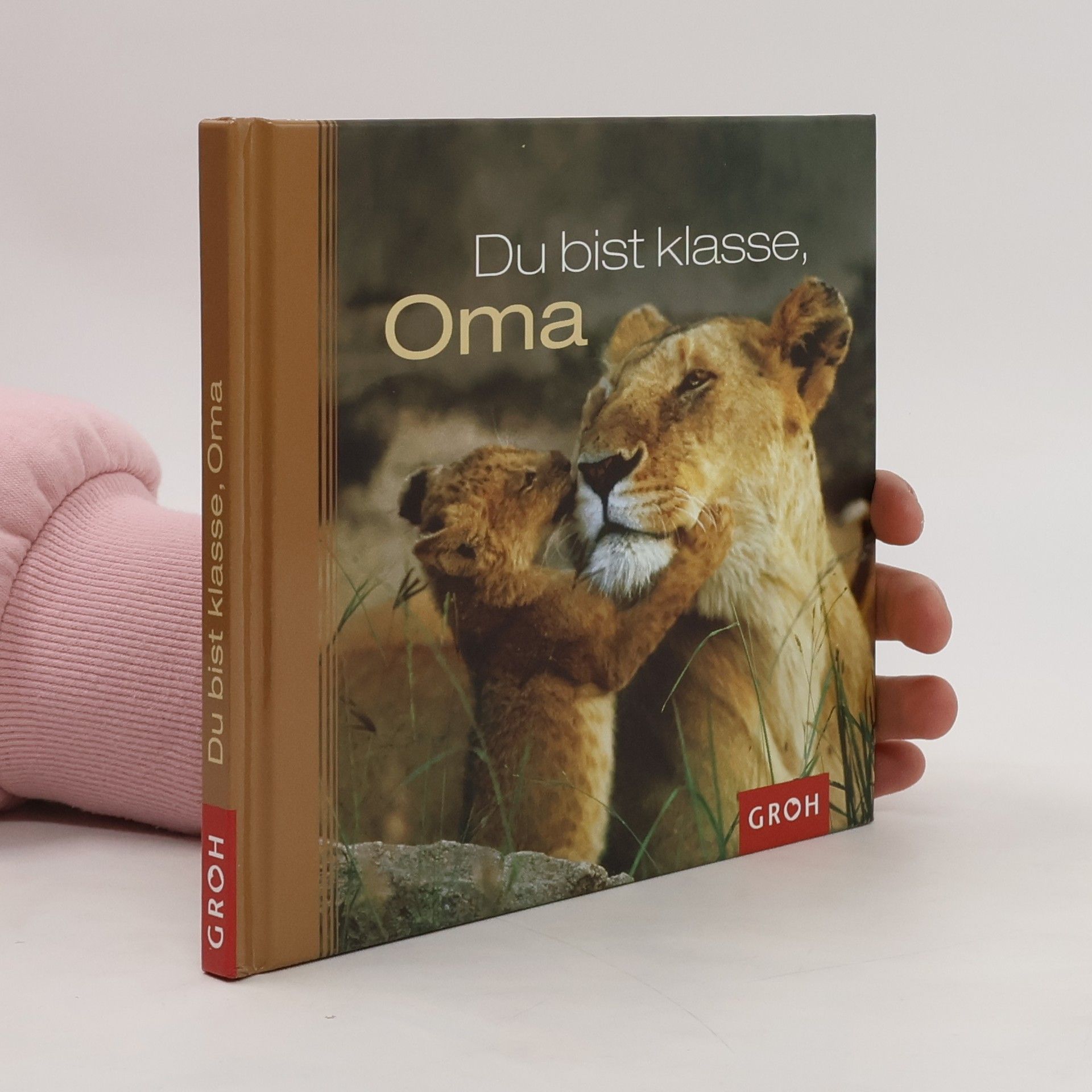 Dorothée Bleker Du bist klasse, Oma
