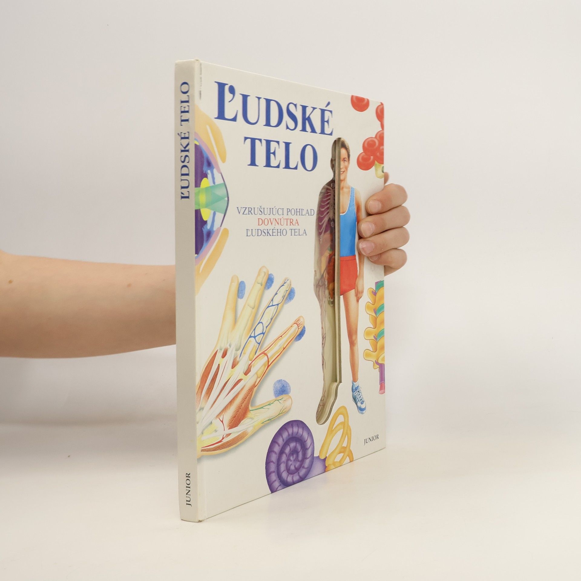 kolektiv Ľudské telo