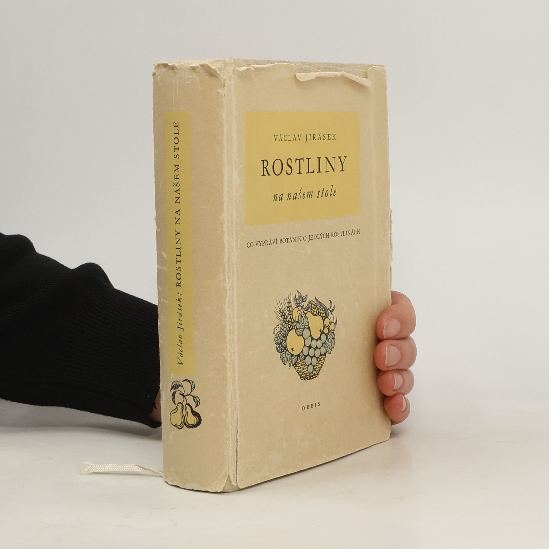Václav Jirásek Rostliny na našem stole