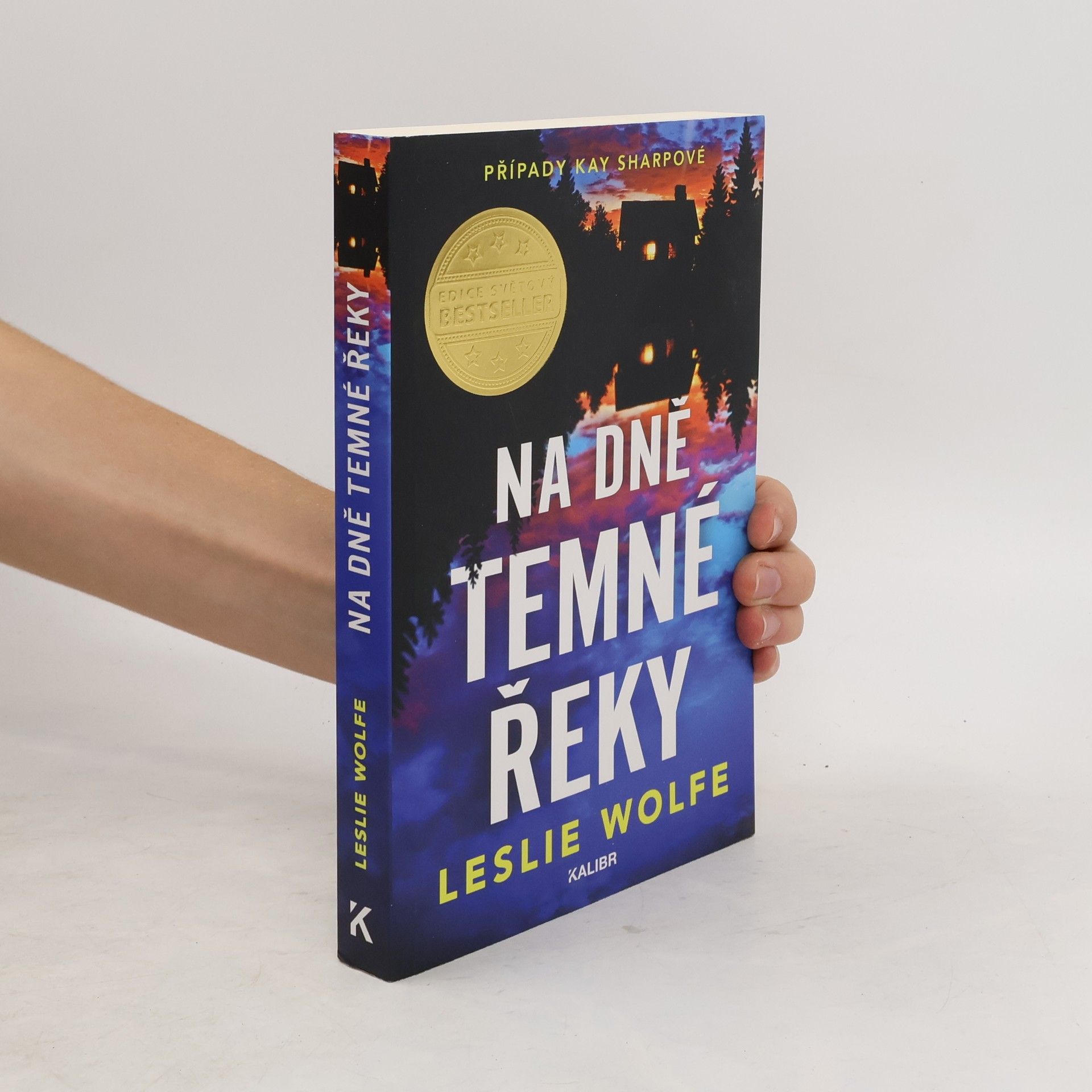 Leslie Wolfe Na dně Temné řeky