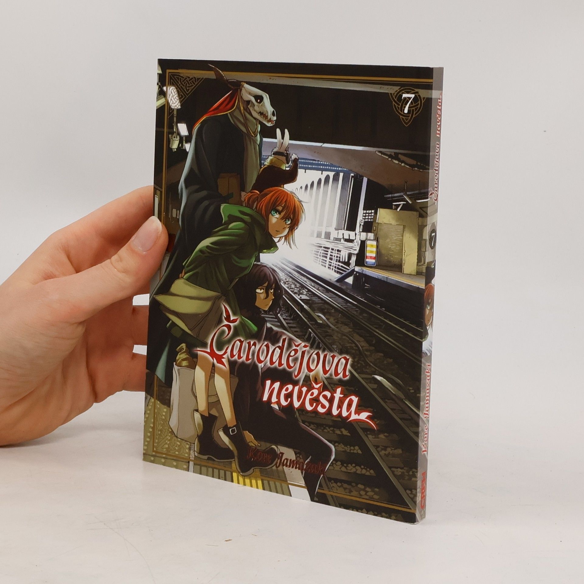 Kore Jamazaki Čarodějova nevěsta 7