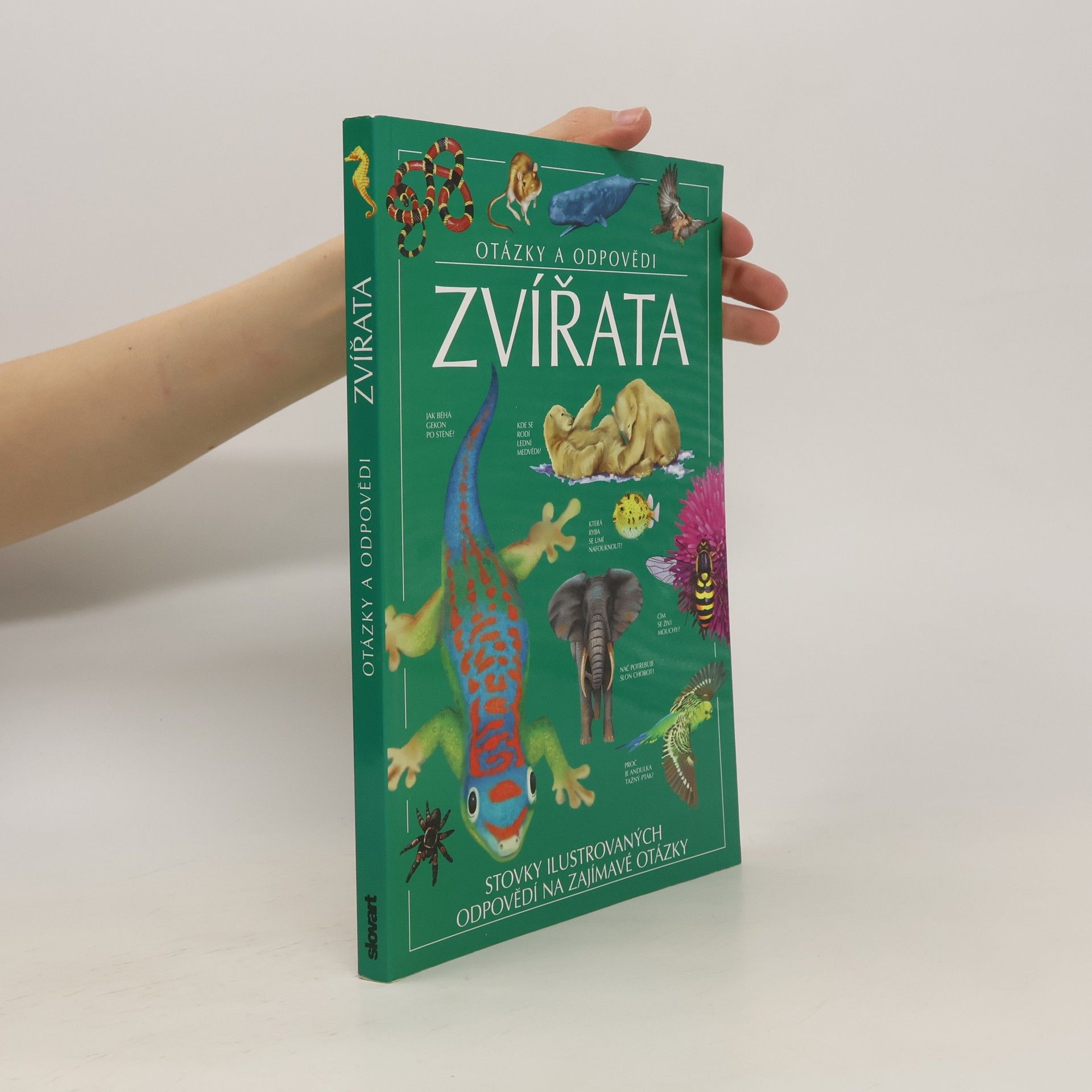 Jen Green Zvířata: Otázky a odpovědi
