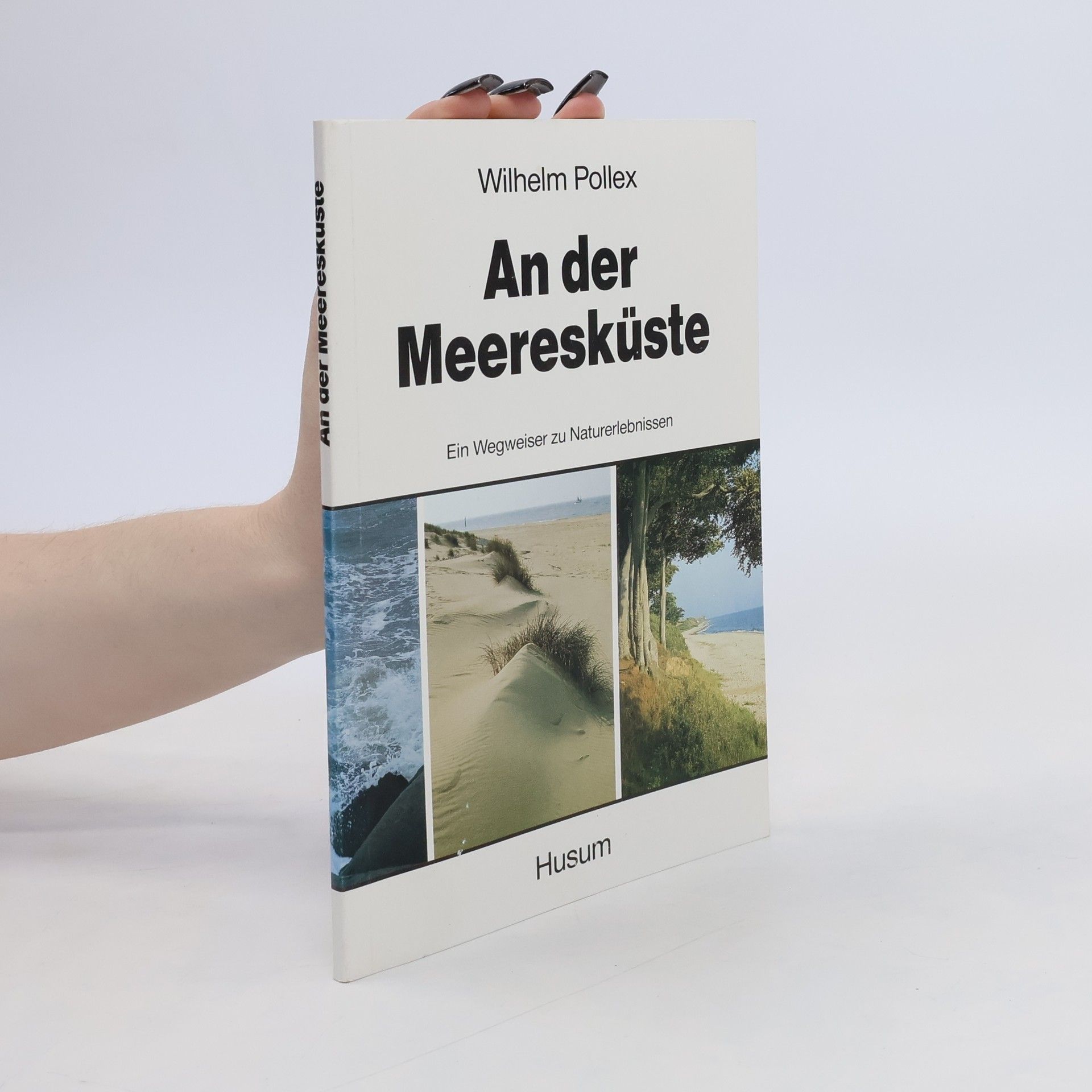 Wilhelm Pollex An der Meeresküste