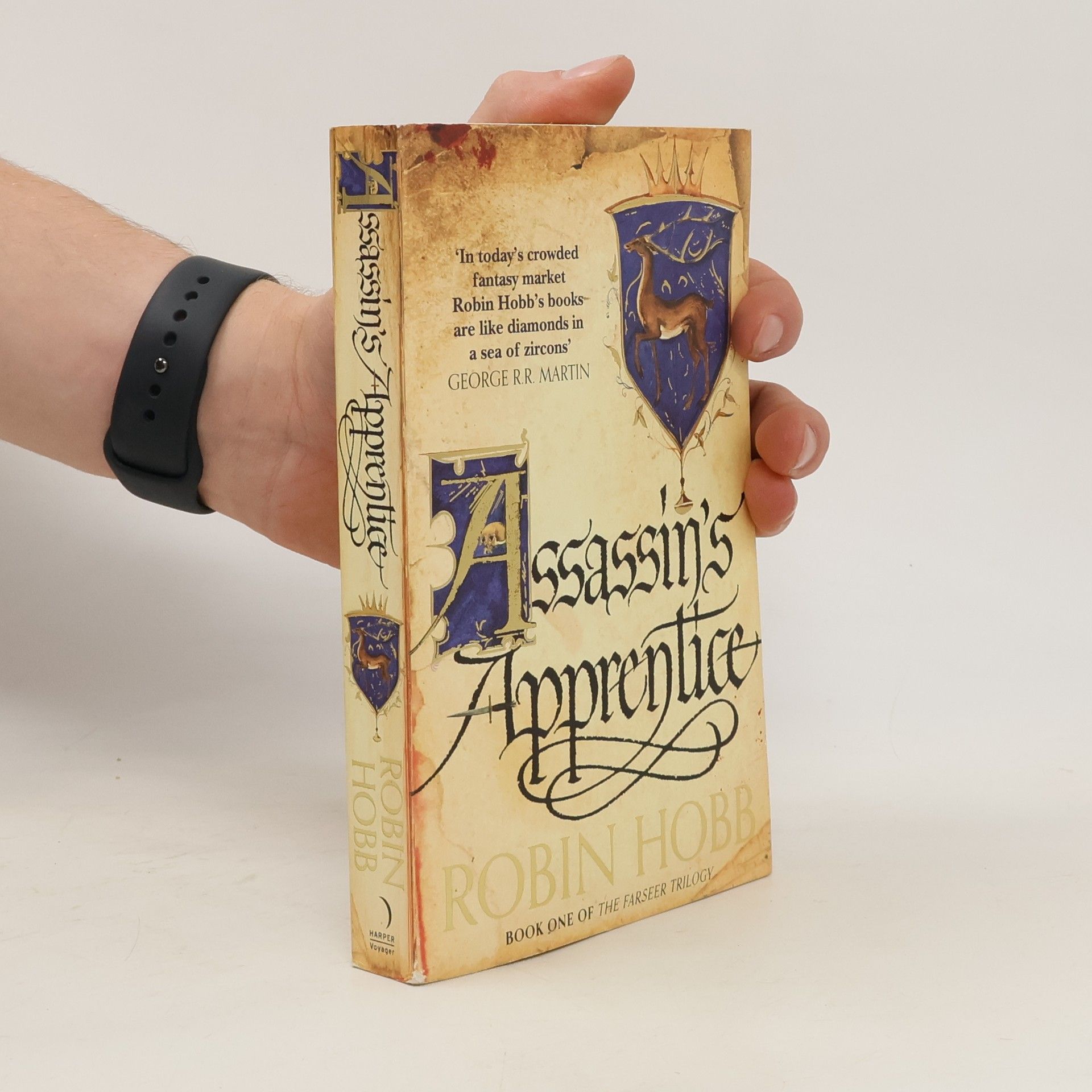 Robin Hobb Assassin's Apprentice