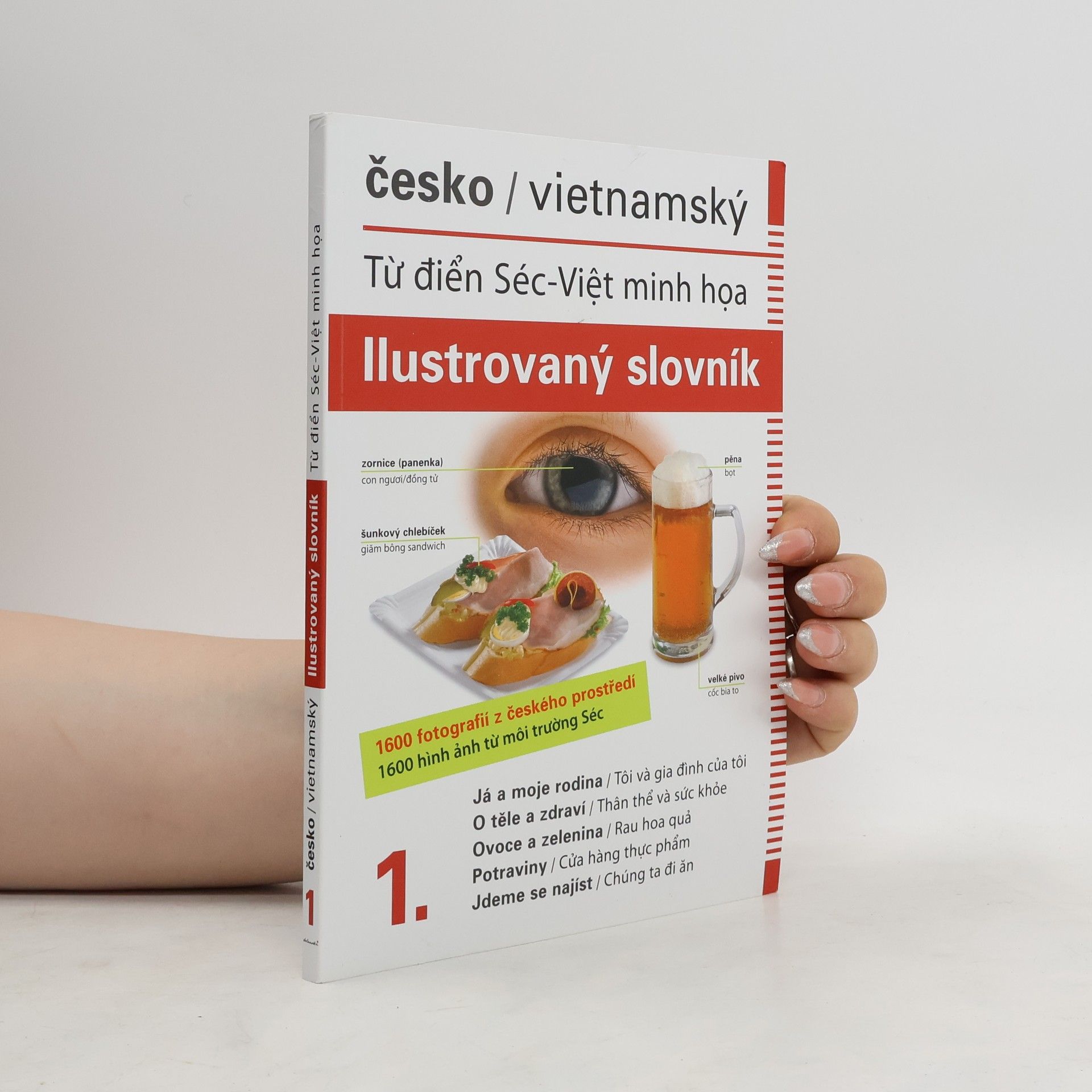 Jana Dolanská Hrachová Česko-vietnamský ilustrovaný slovník 1.