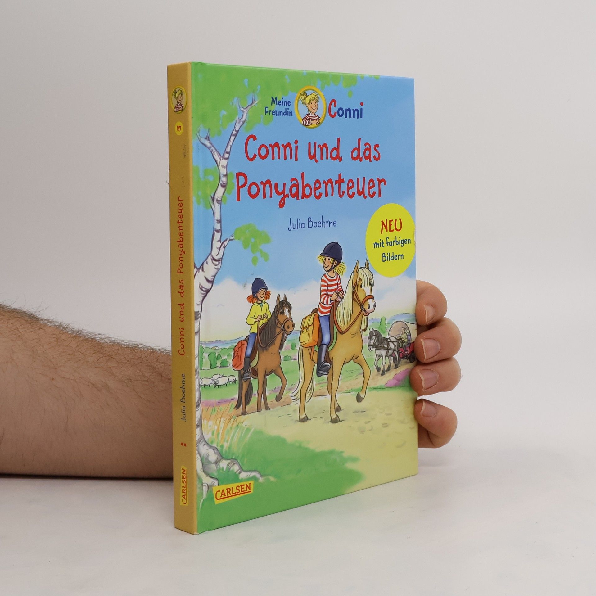 Julia Boehme Conni und das Ponyabenteuer