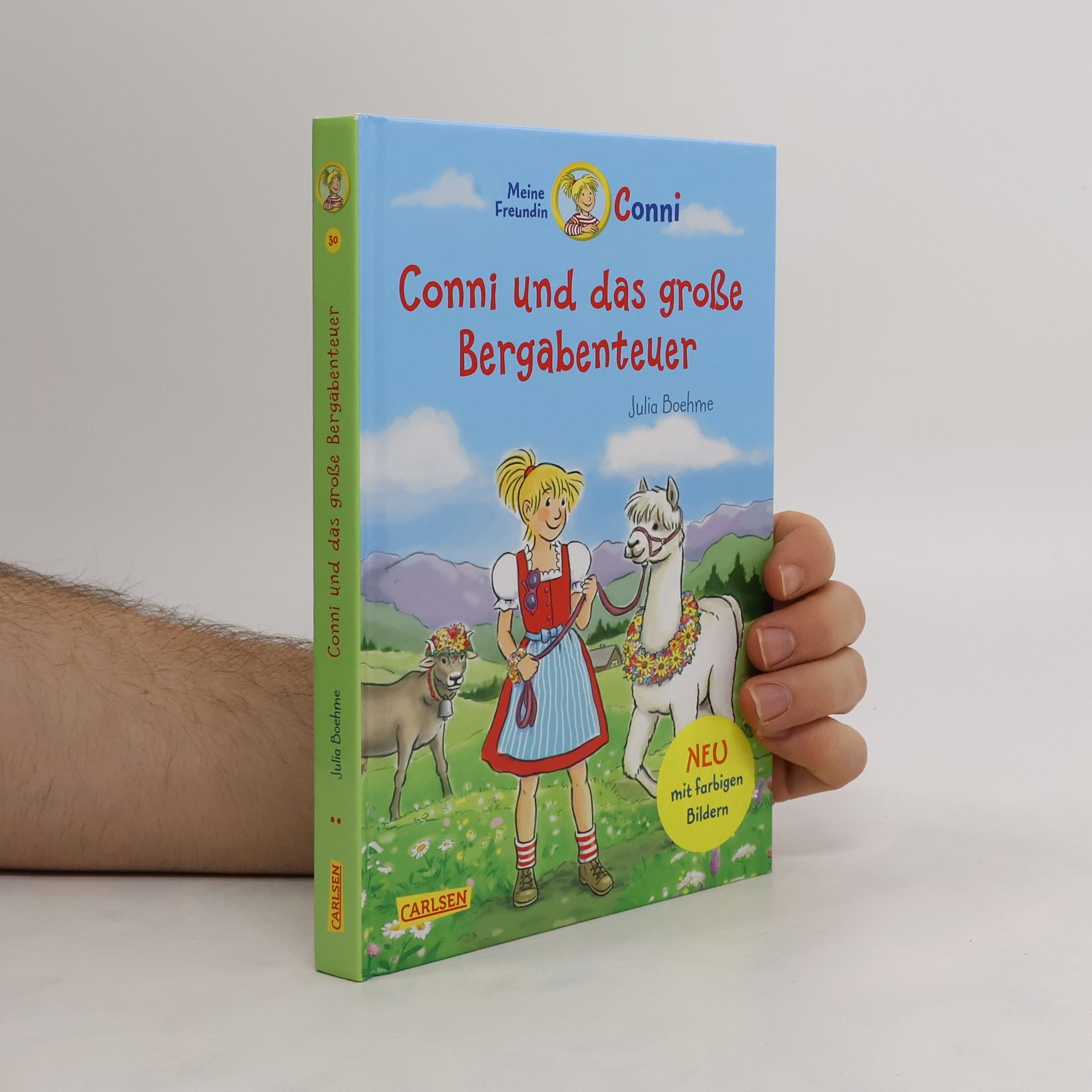 Julia Boehme Conni und das große Bergabenteuer