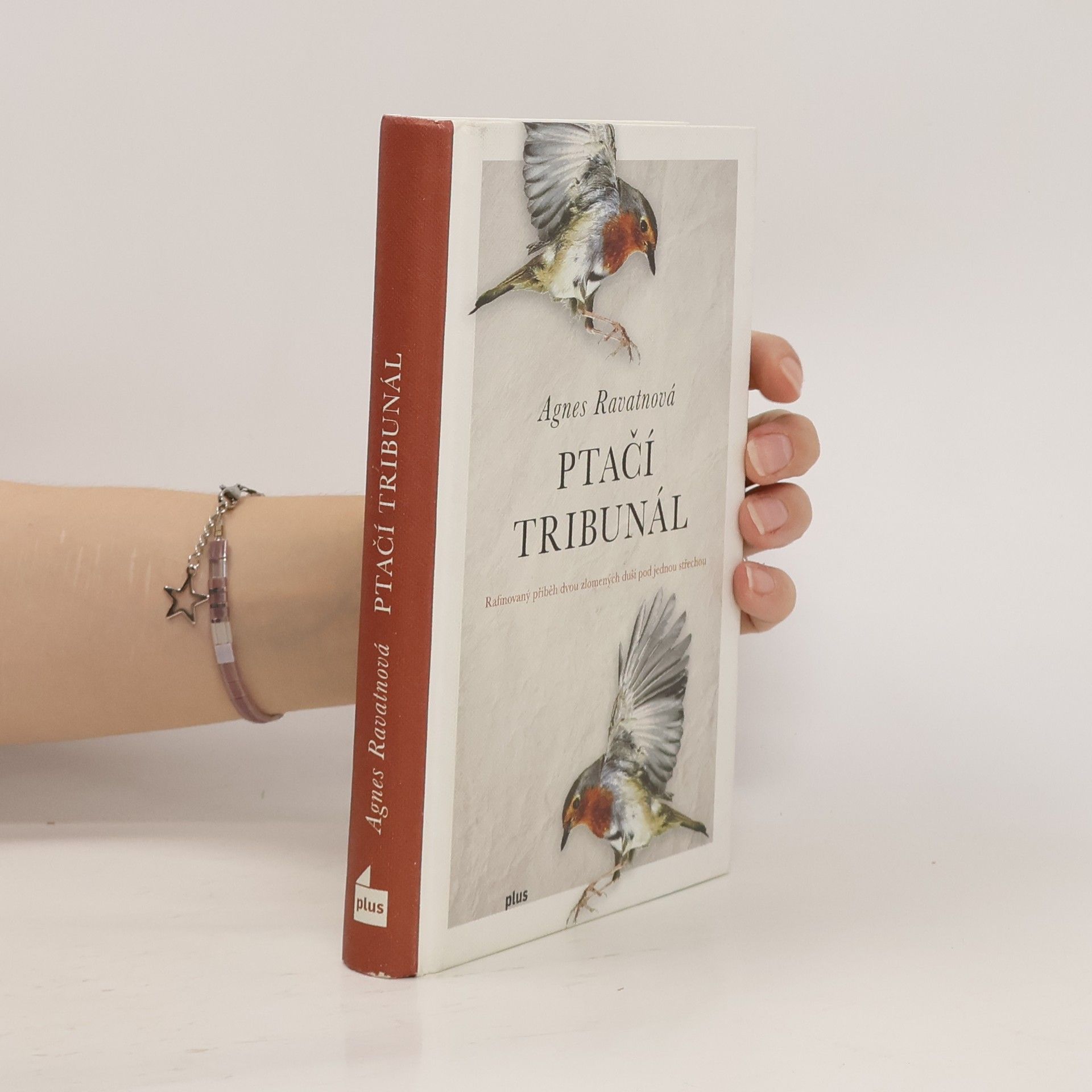 Agnes Ravatn Ptačí tribunál