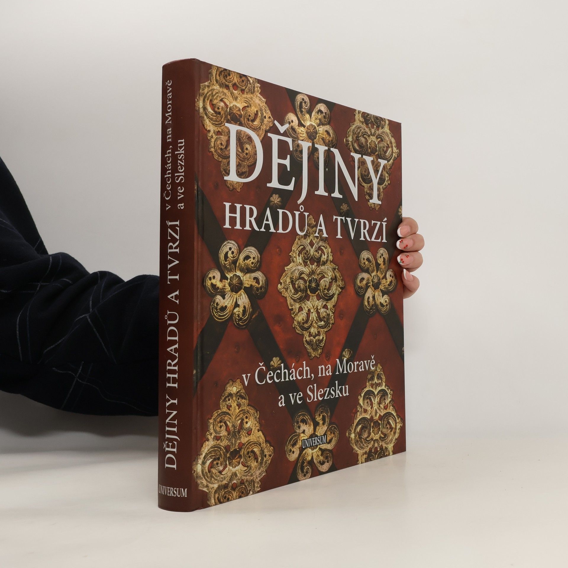 Petr David Dějiny hradů a tvrzí v Čechách, na Moravě a ve Slezsku
