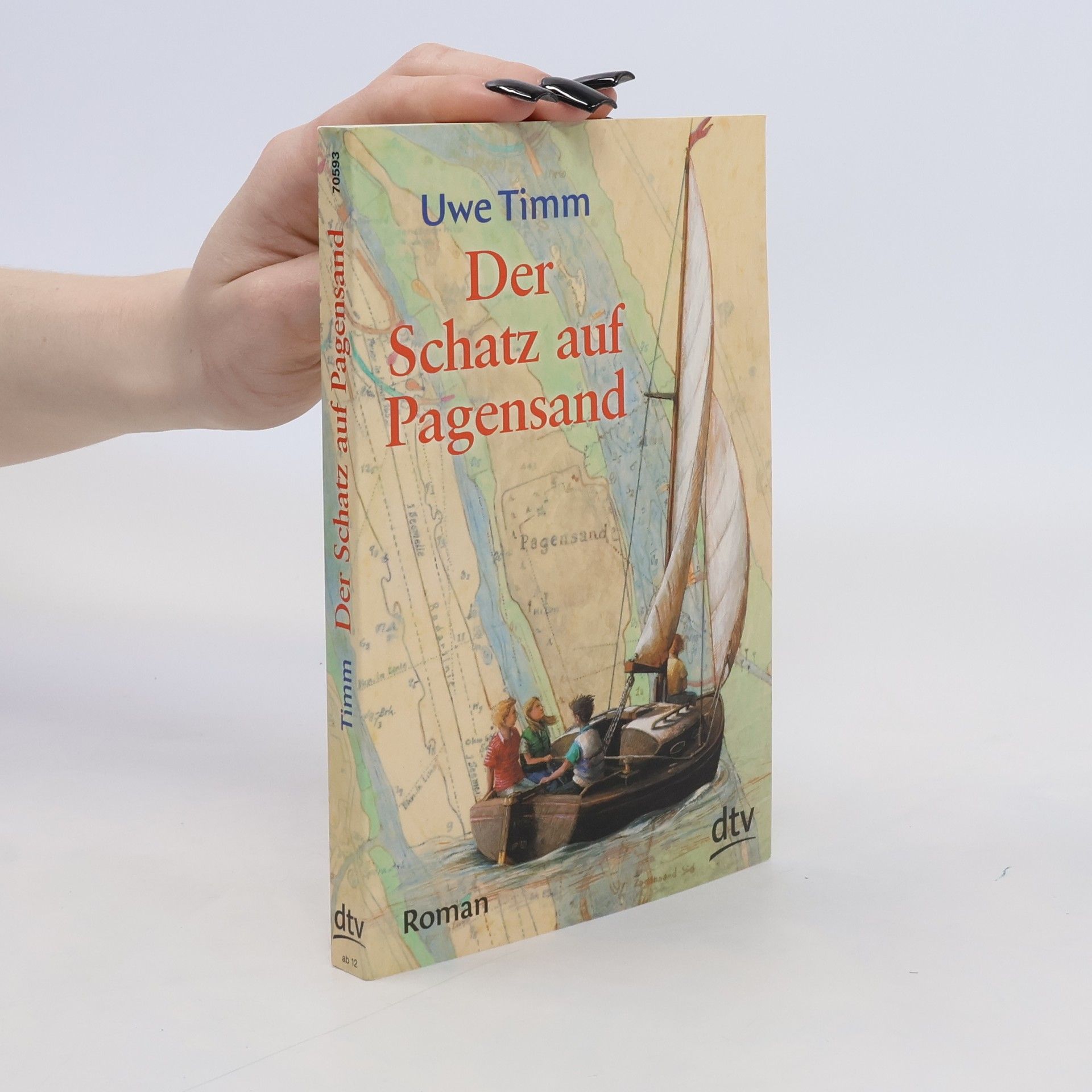 Uwe Timm Der Schatz auf Pagensand