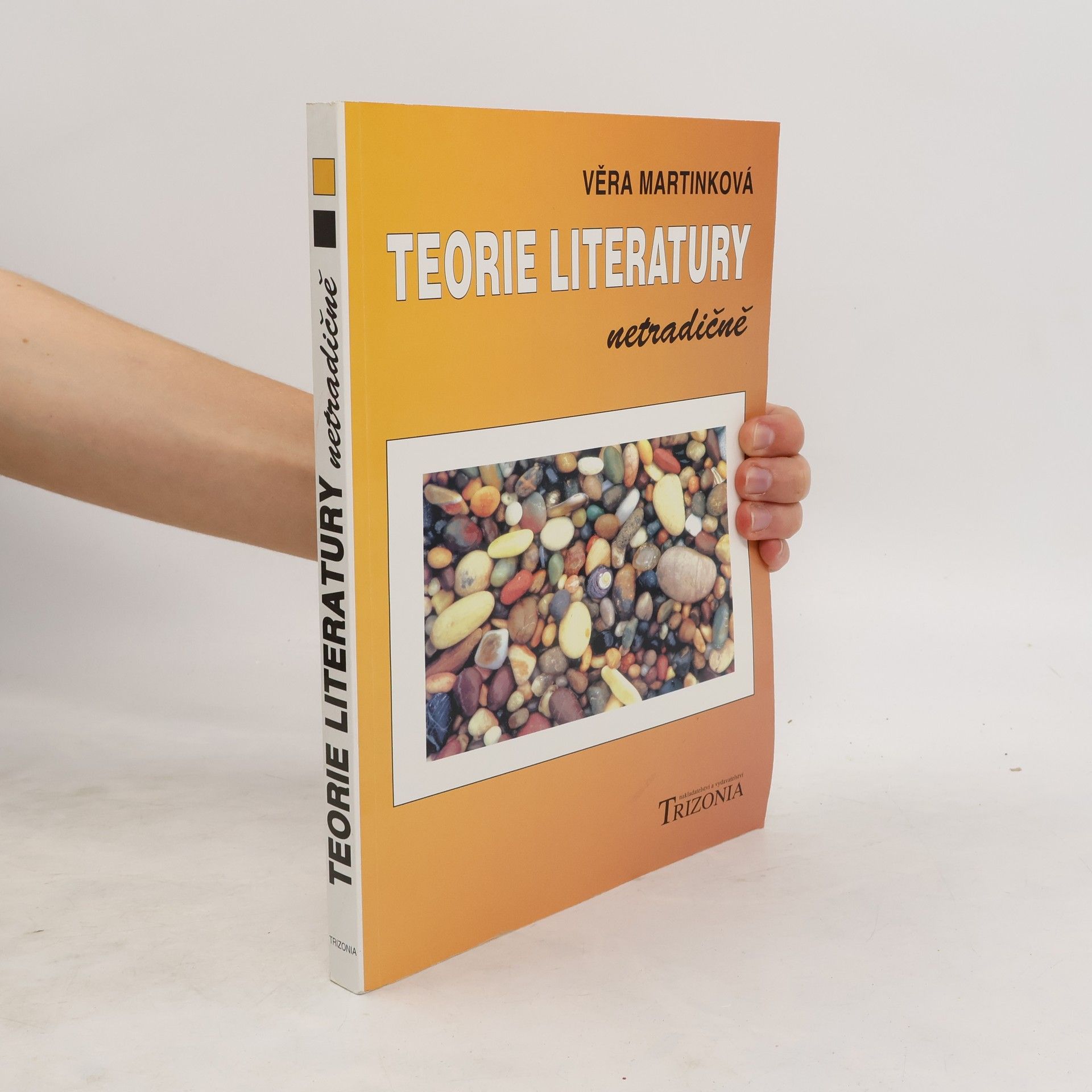 Teorie literatury netradičně