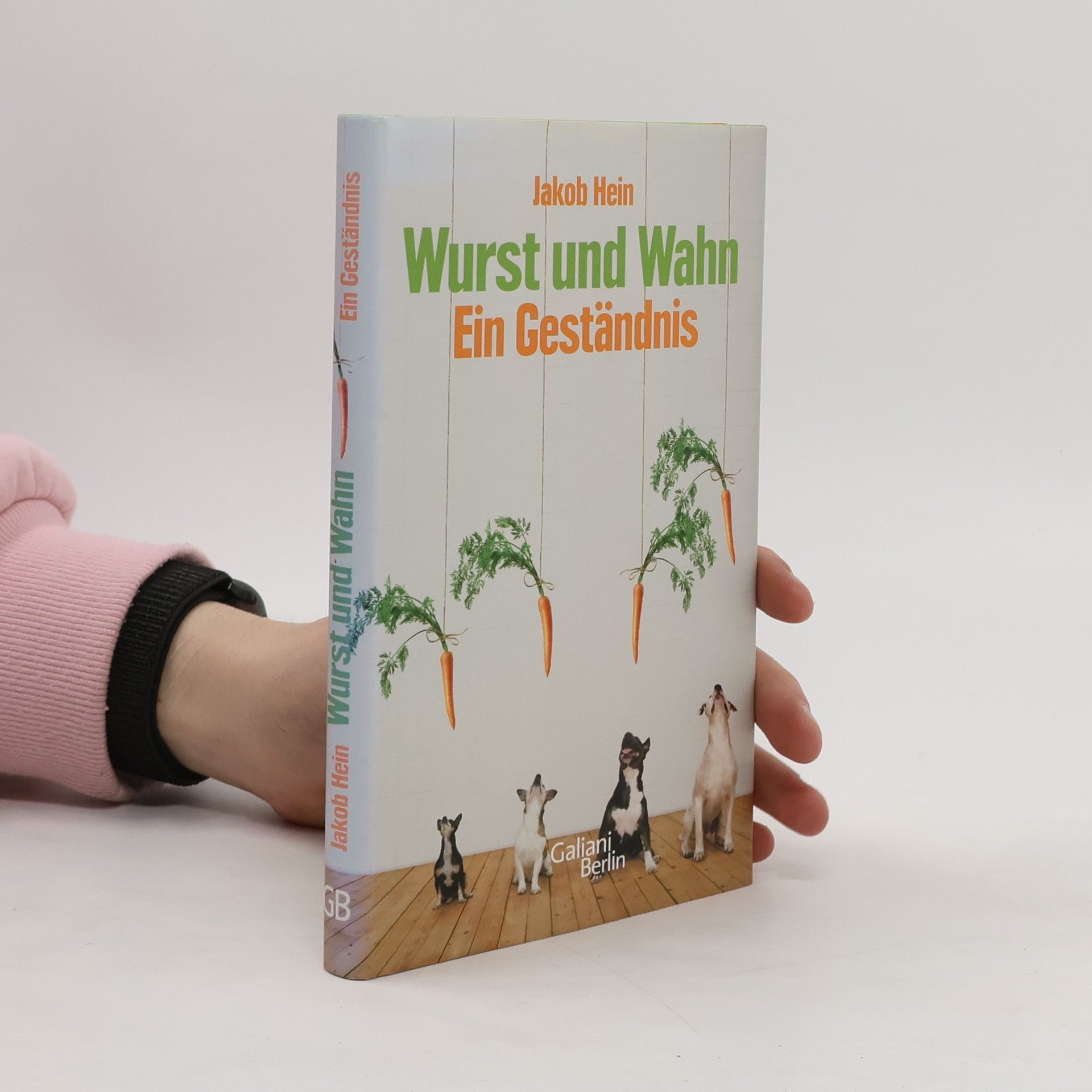Jakob Hein Wurst und Wahn