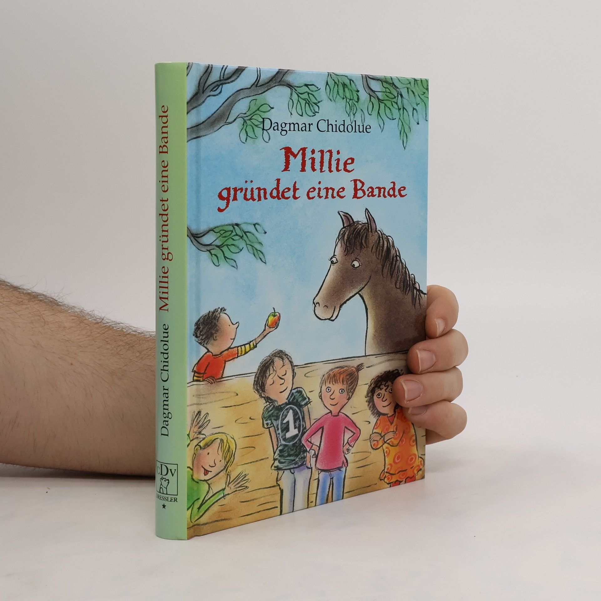 Dagmar Chidolue Millie gründet eine Bande