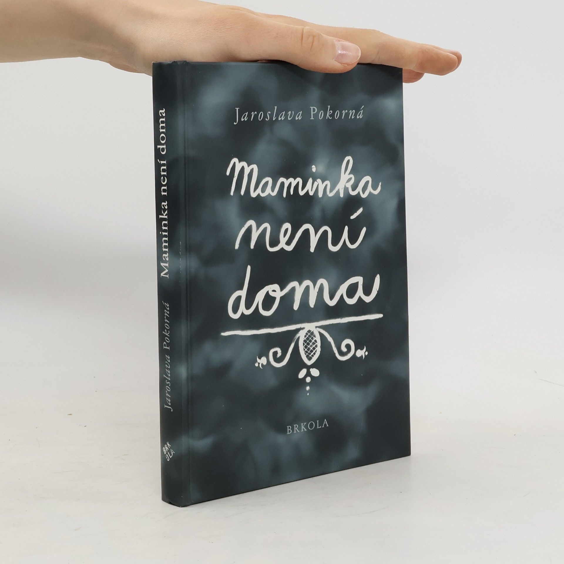 Jaroslava Pokorná Maminka není doma