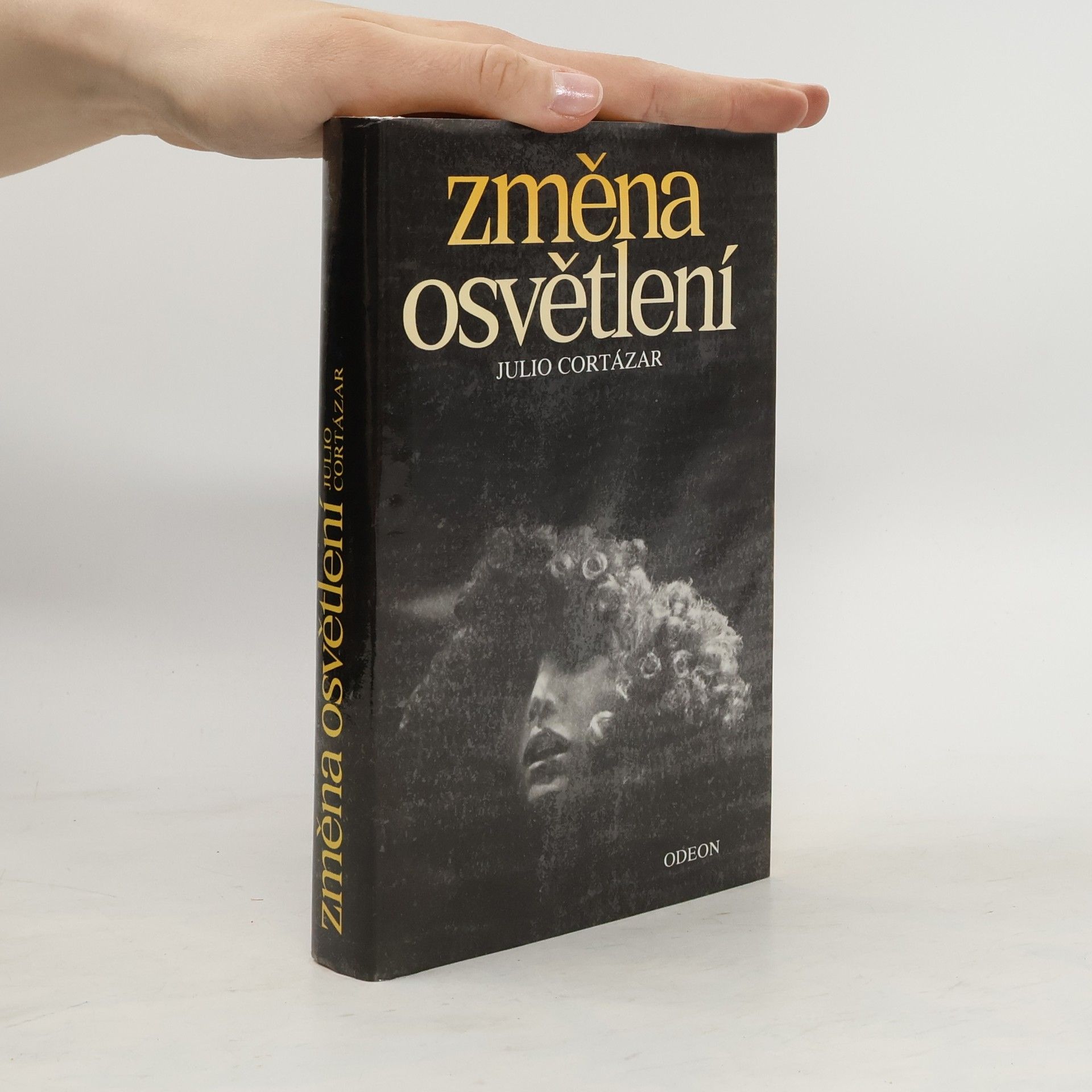 Julio Cortázar Změna osvětlení